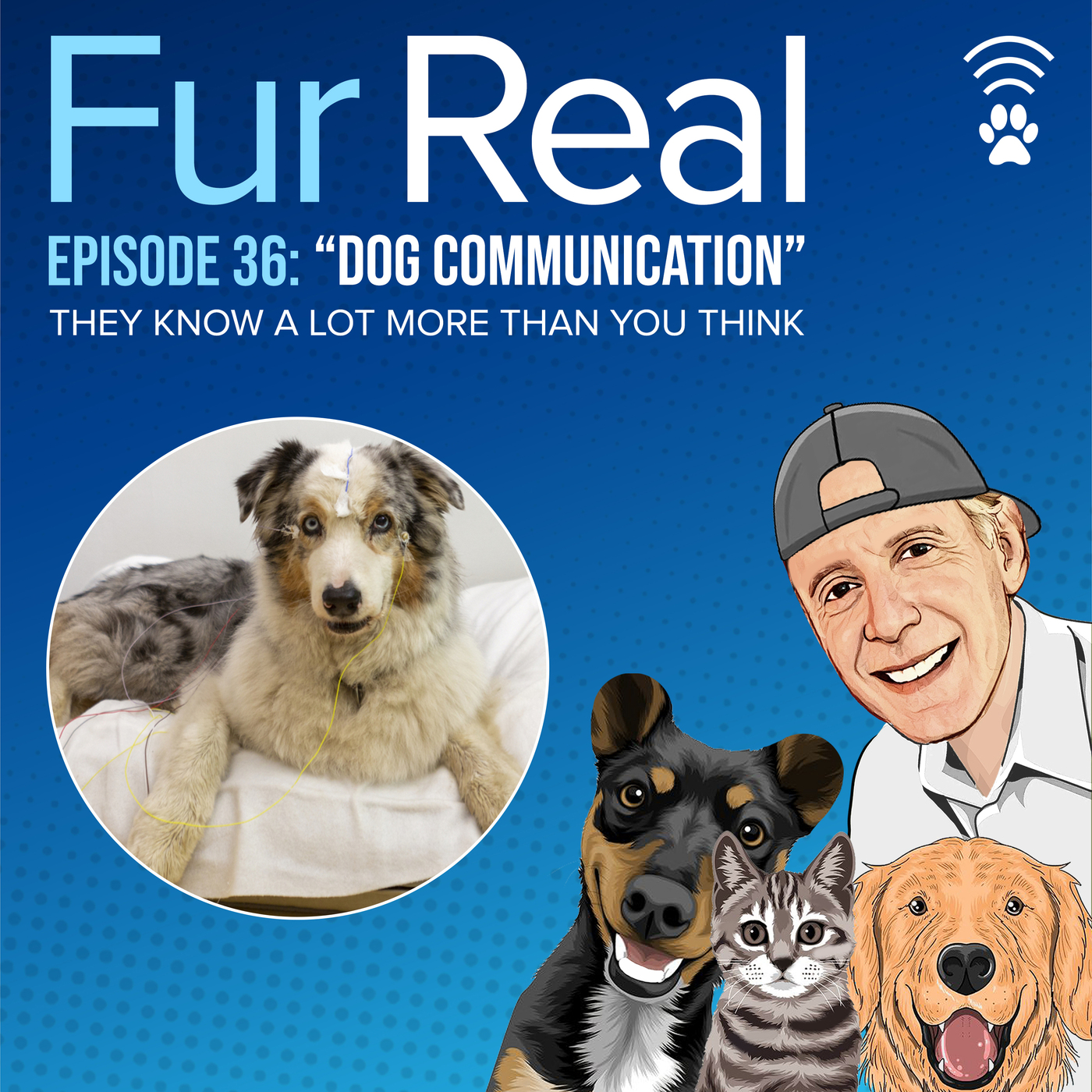"DOG COMMUNICATION" They know a lot more than you think!!