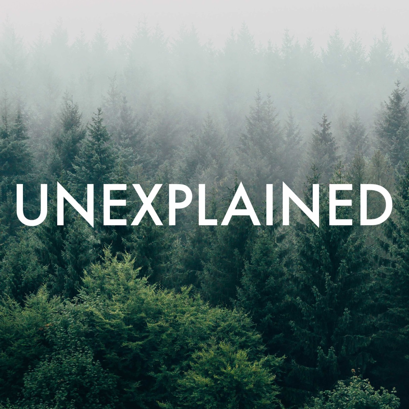 S04 Episode 18 Extra: Buried Under Brambles