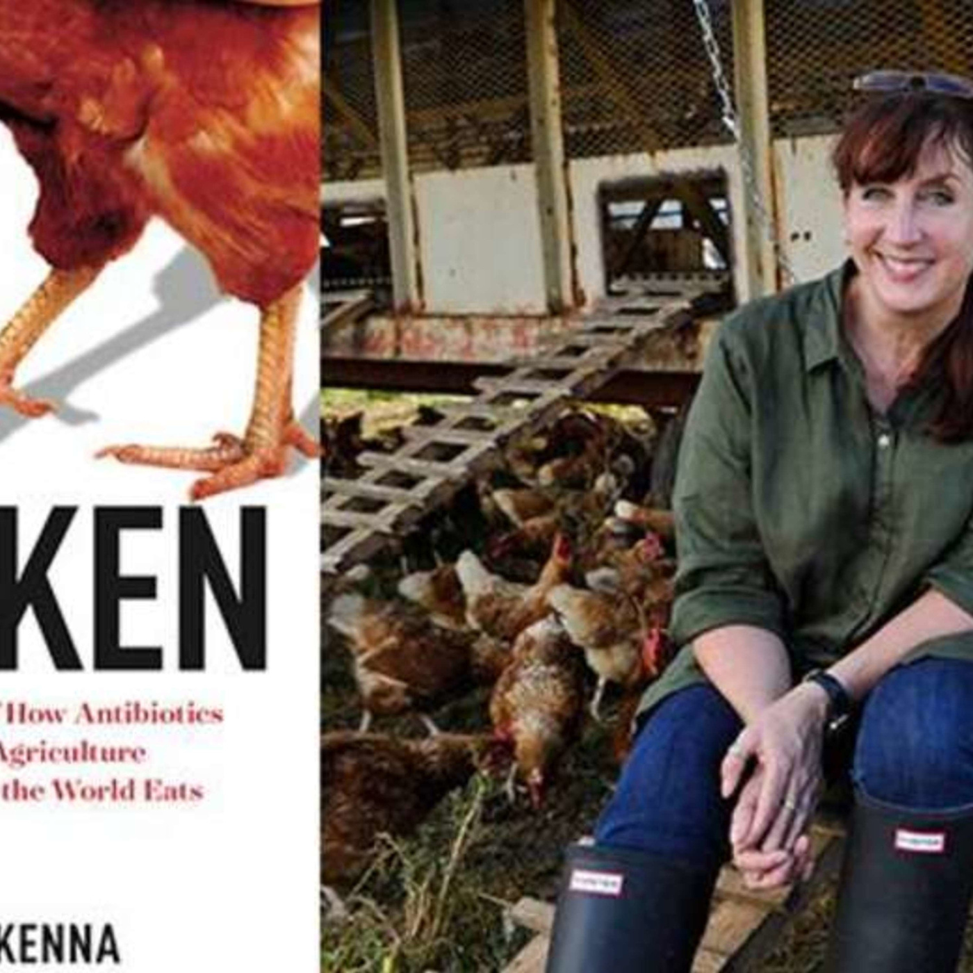 Episode 280: Big Chicken, History of How Antibiotics Changed Modern Agriculture