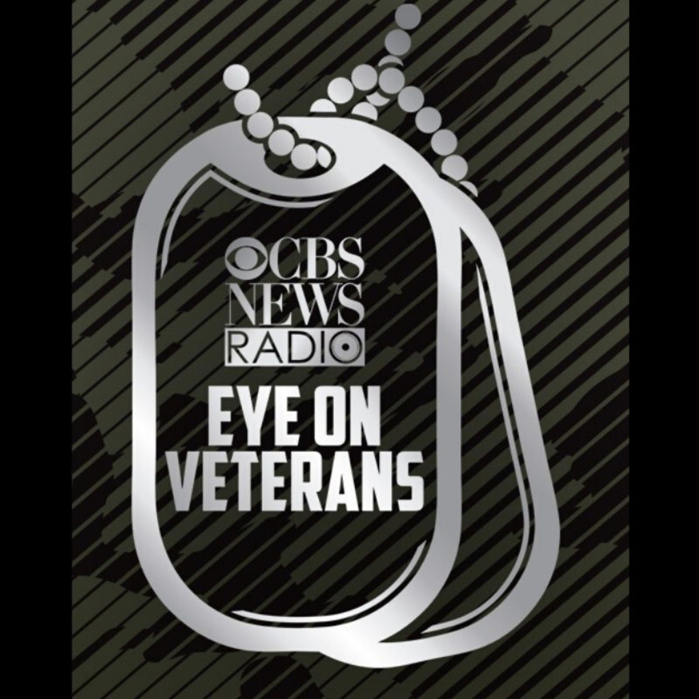 Eye on Veterans: Racism in America: A candid conversation with 2 ...