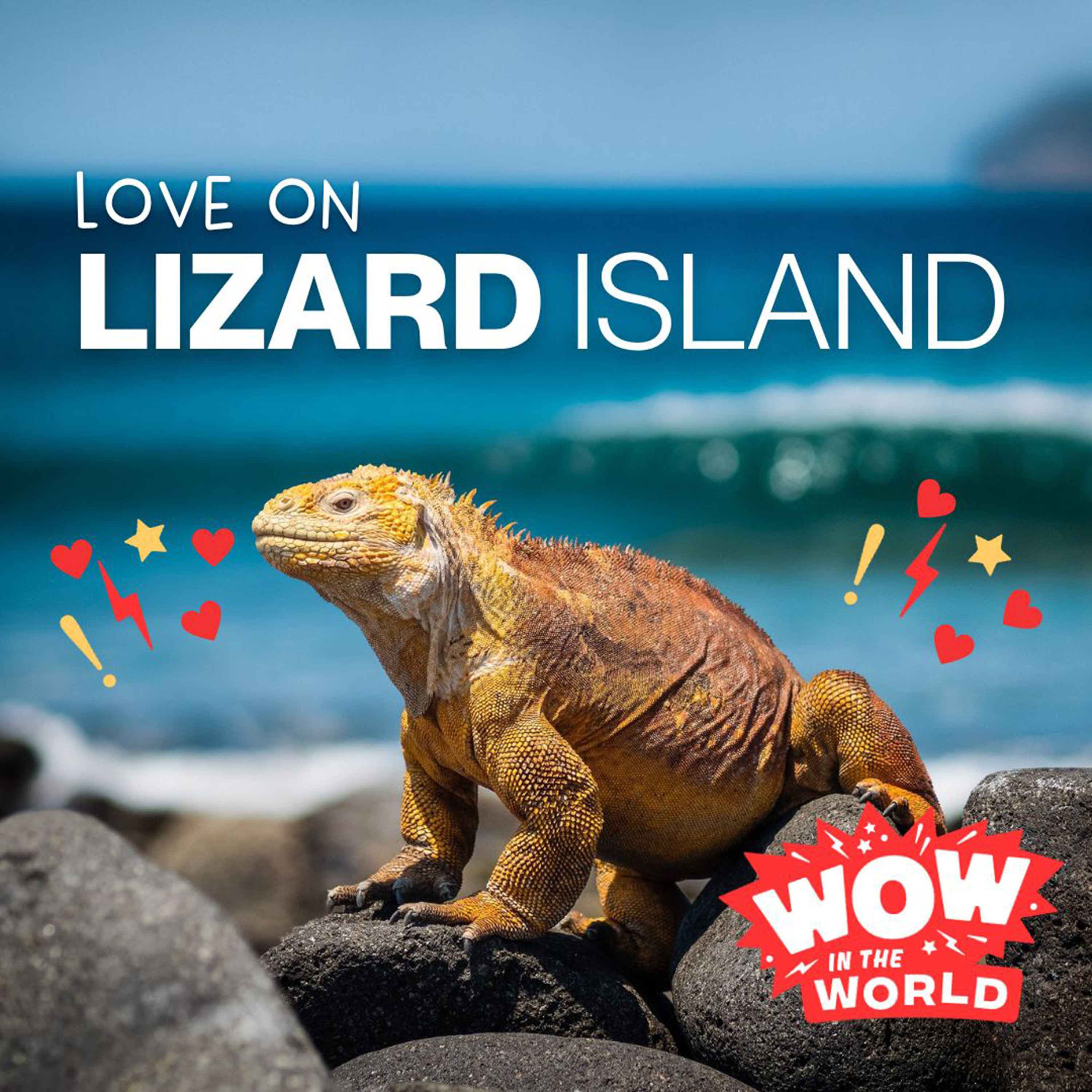 Love on Lizard Island (1/16/23)