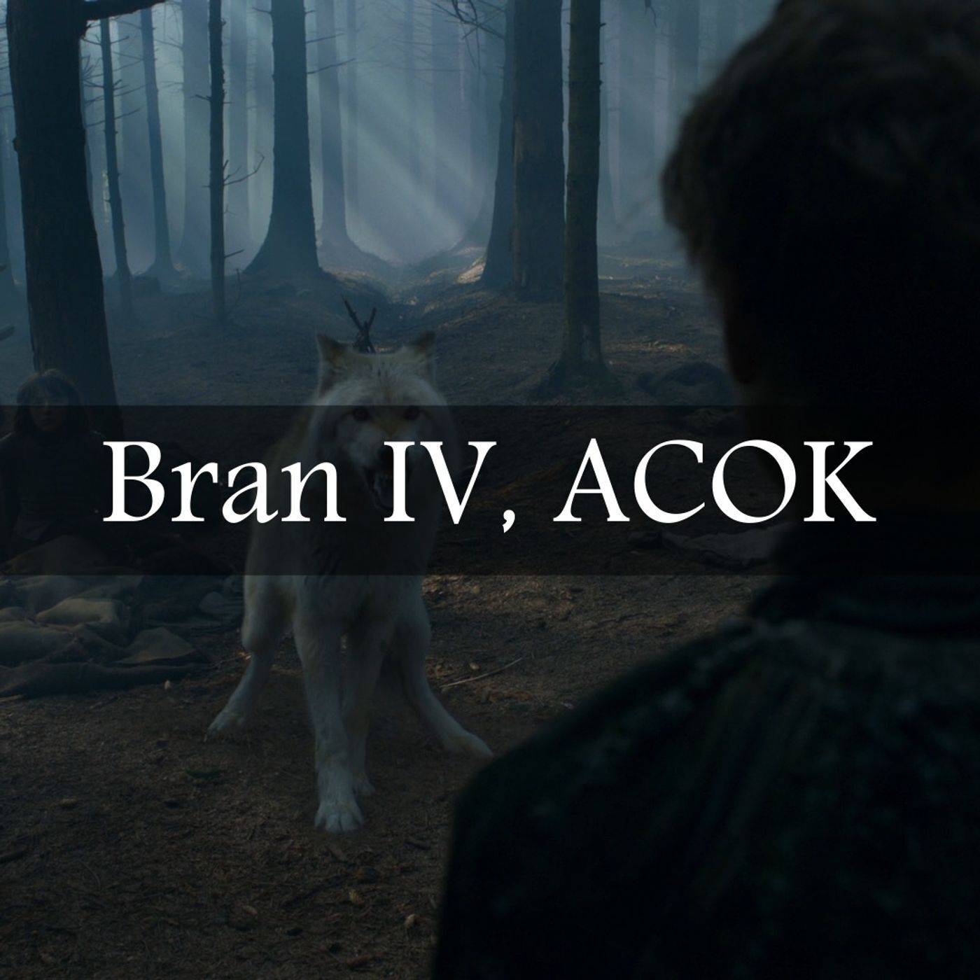 GOT Abridged #102: Bran IV, ACOK