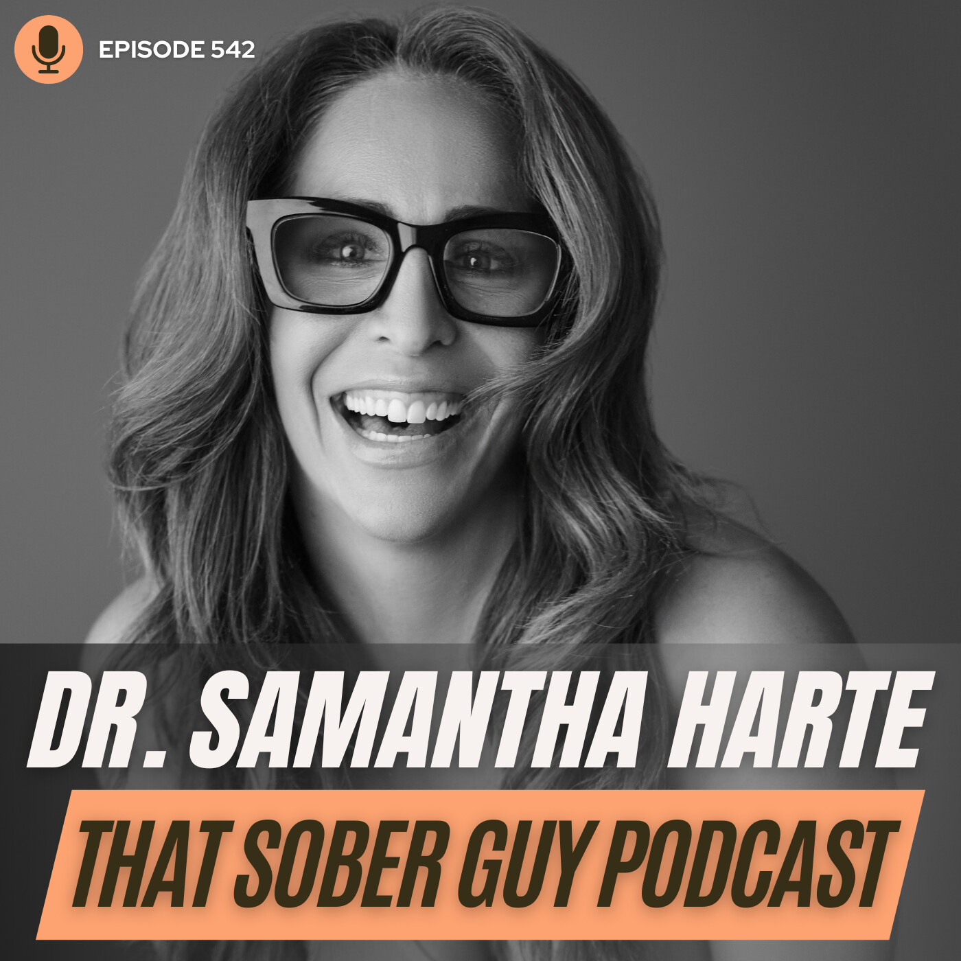 That Sober Guy Podcast