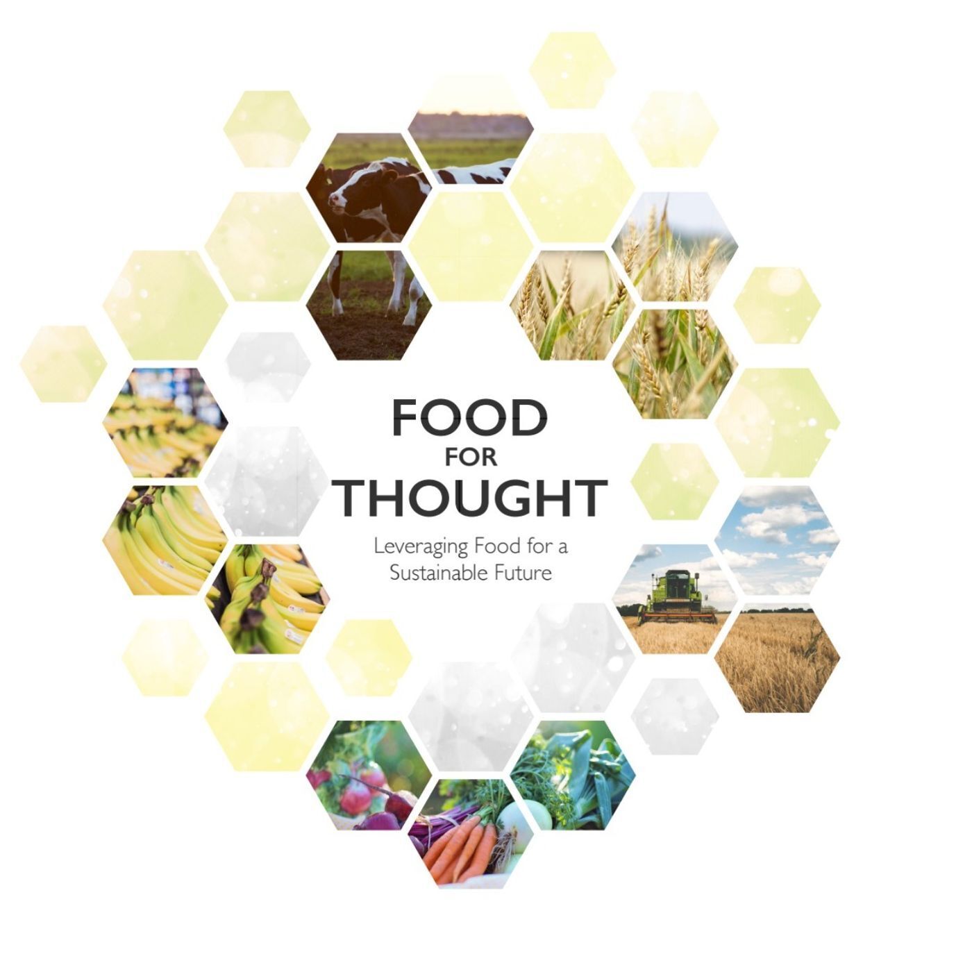 MIT's 12th Sustainability Summit: Food For Thought