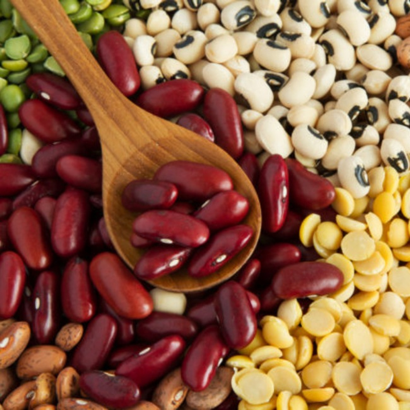 The Food Supply Chain and History of Beans