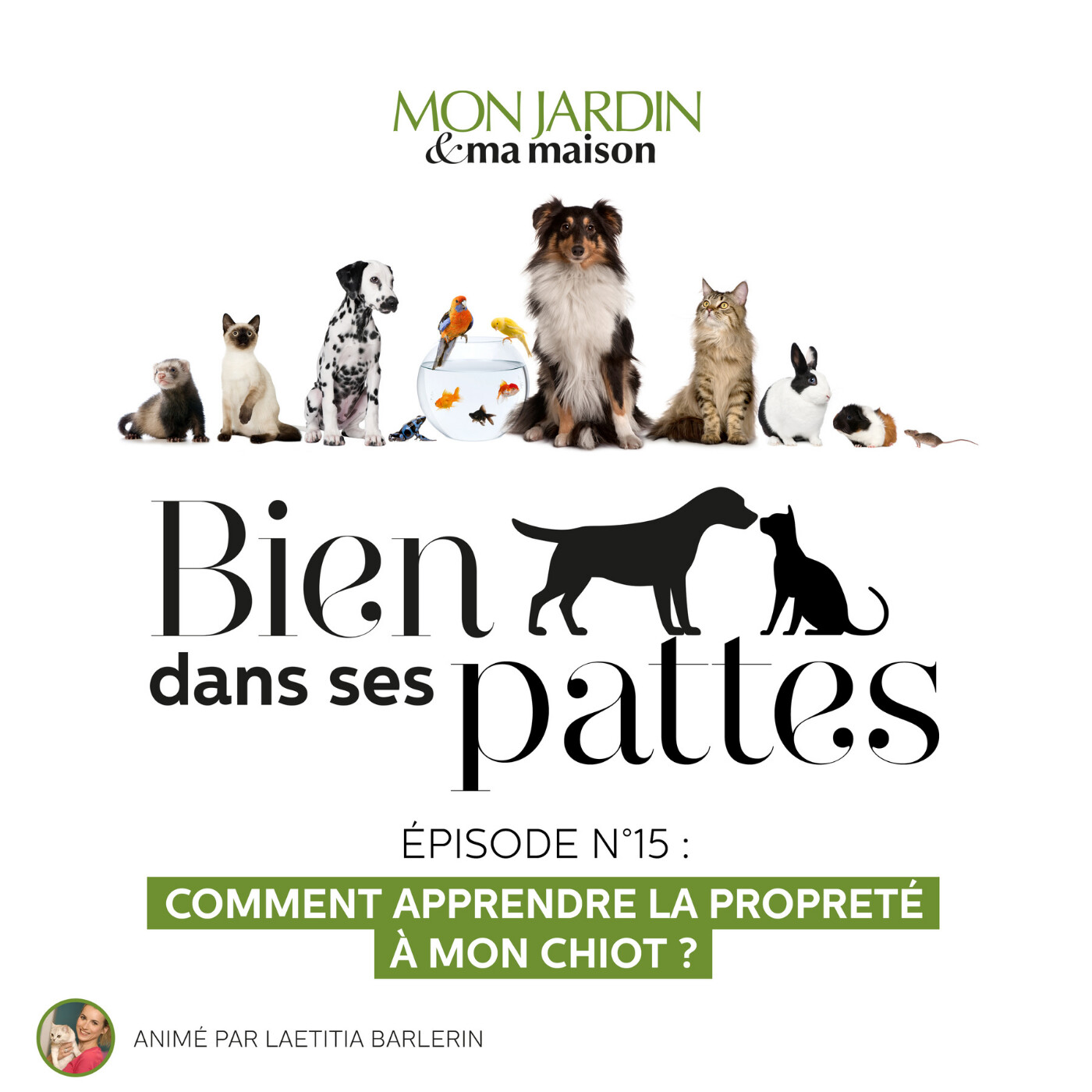 Comment apprendre la propreté à mon chiot ?