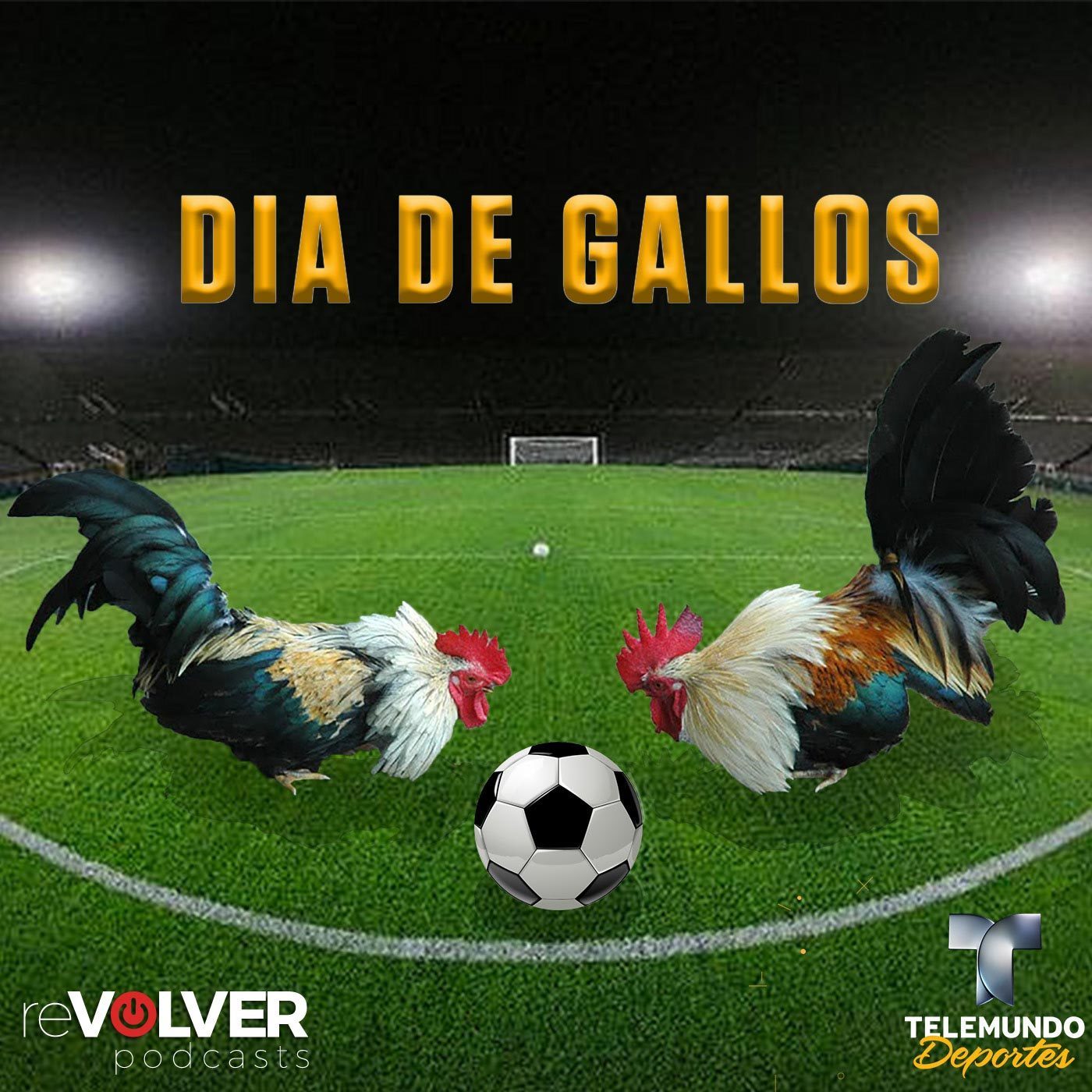 Día de Gallos