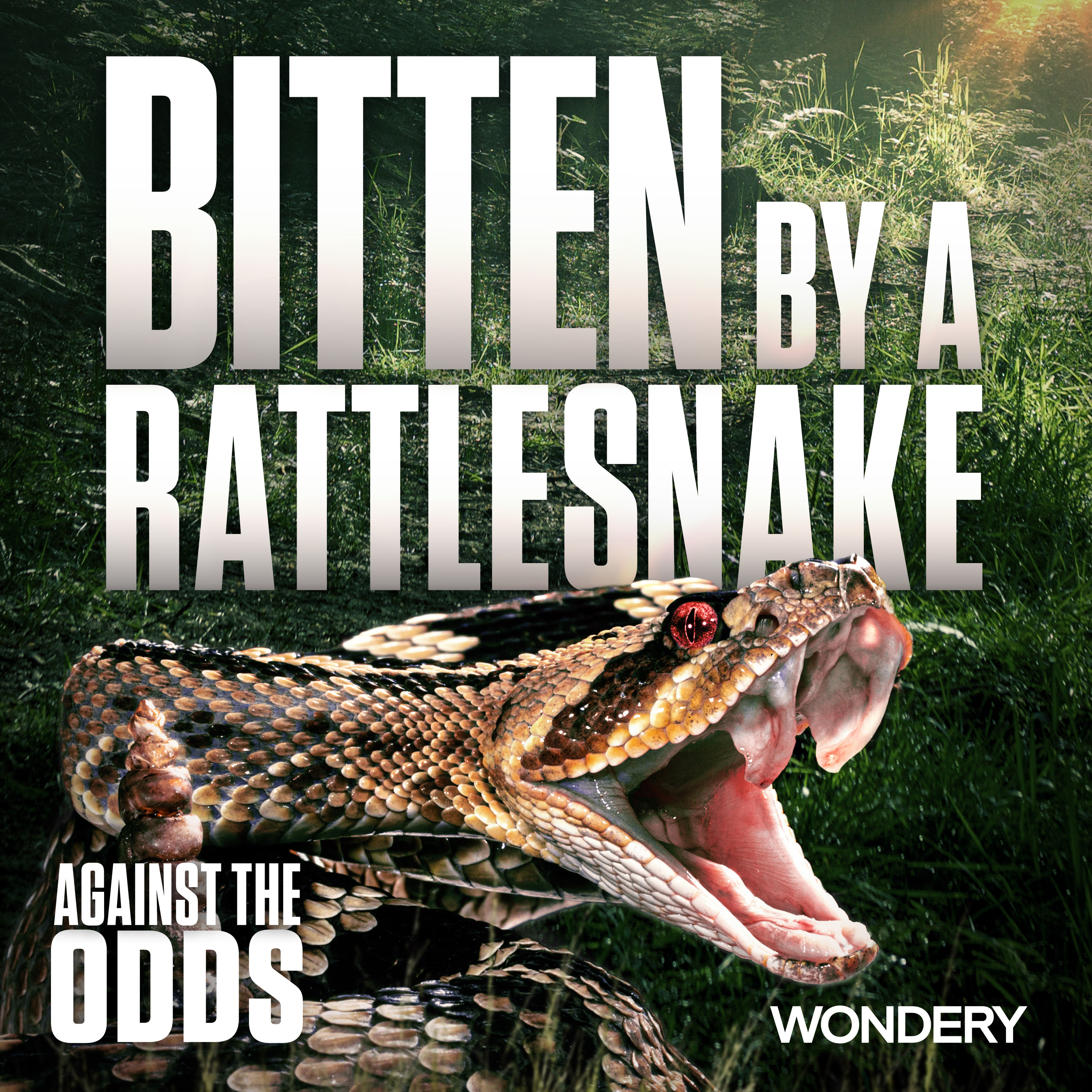 cover of episode Bitten by a Rattlesnake | 1