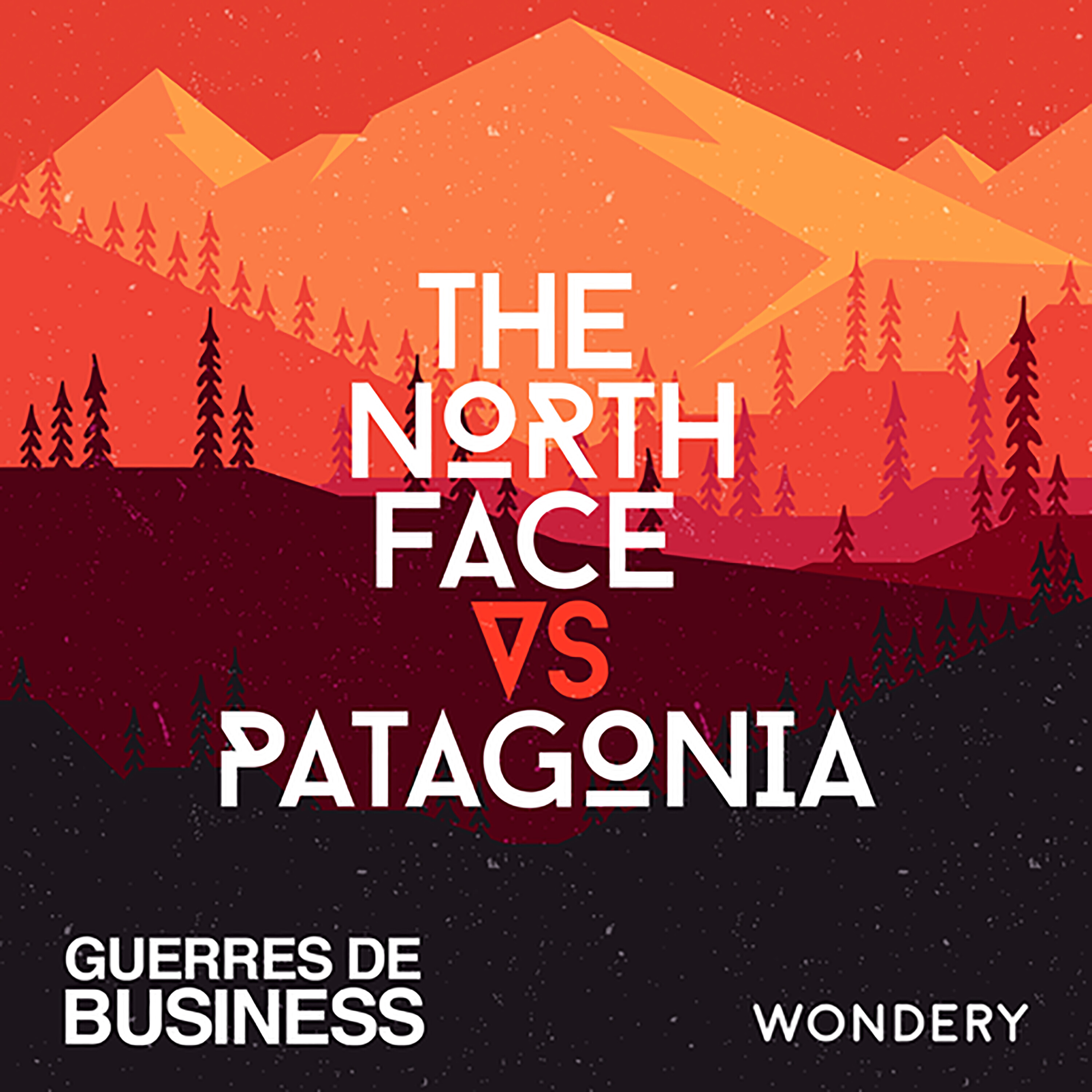 The Northface vs Patagonia | Mission sauvetage | 5