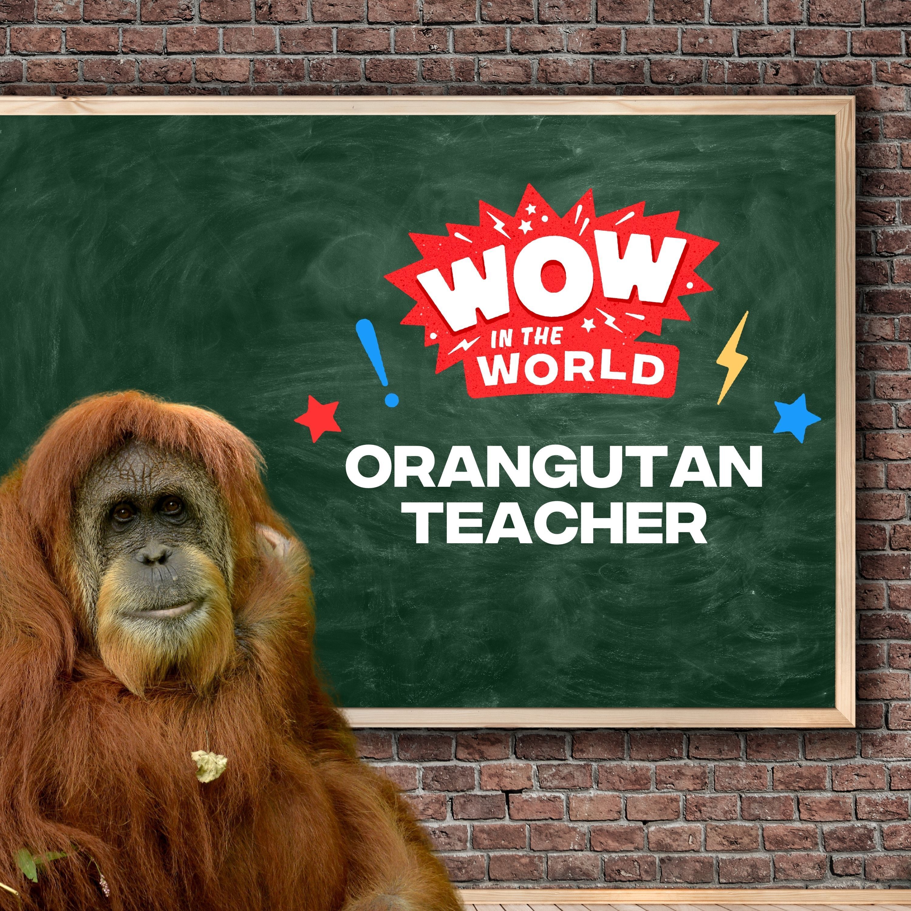 Teach Like an Orangutan! What Makes These Great Apes Such Great Teachers? (Encore) episode artwork