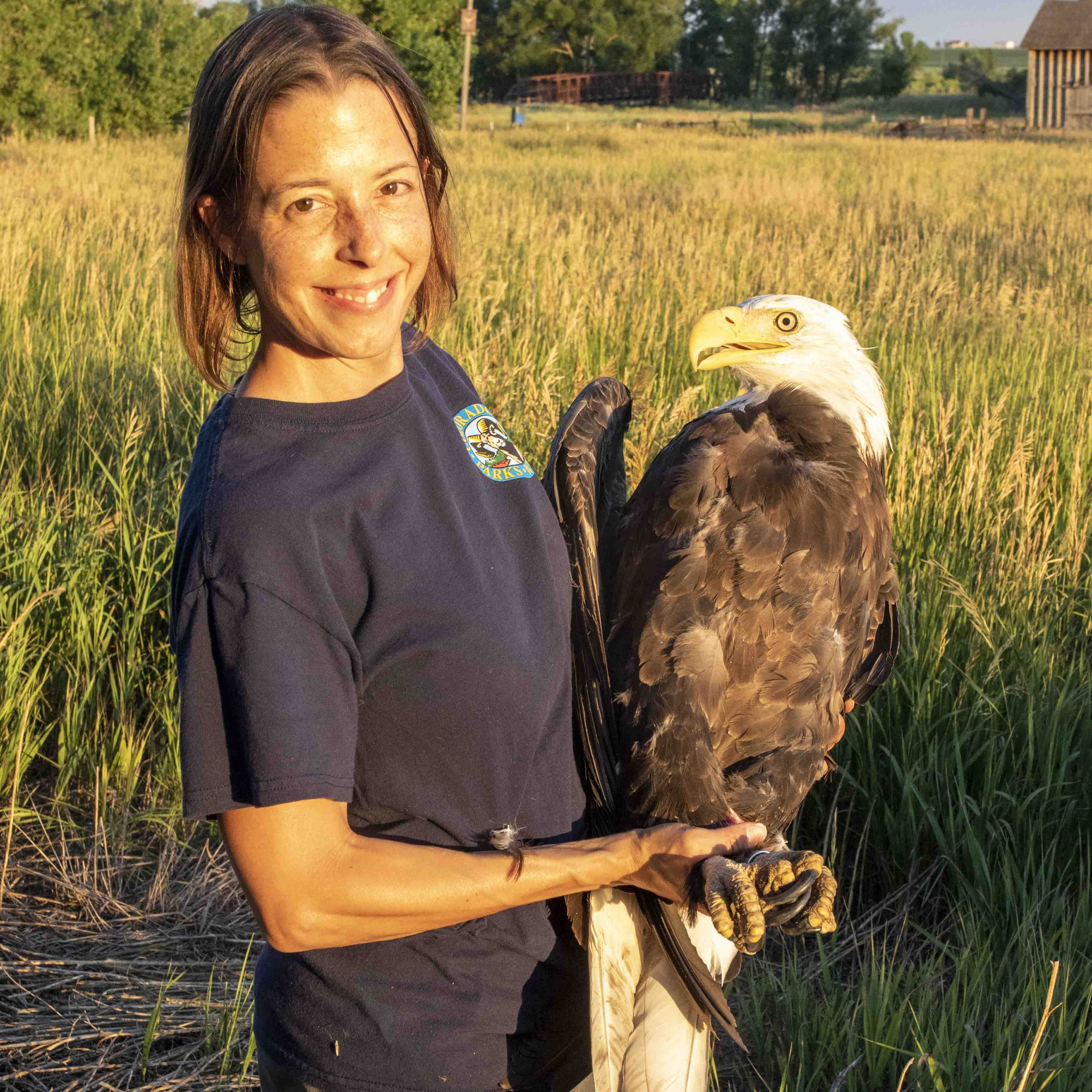 S1E17: 1.17 - Bald Eagles of Colorado - July 12, 2021 episode artwork