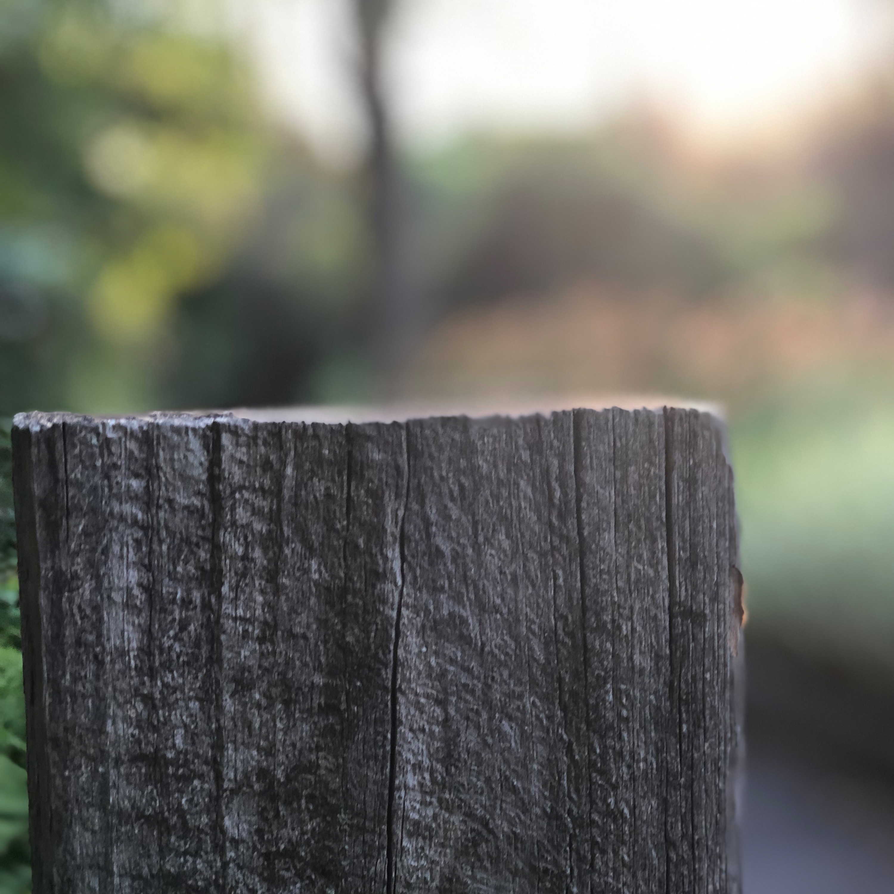 All About SEO and SEM