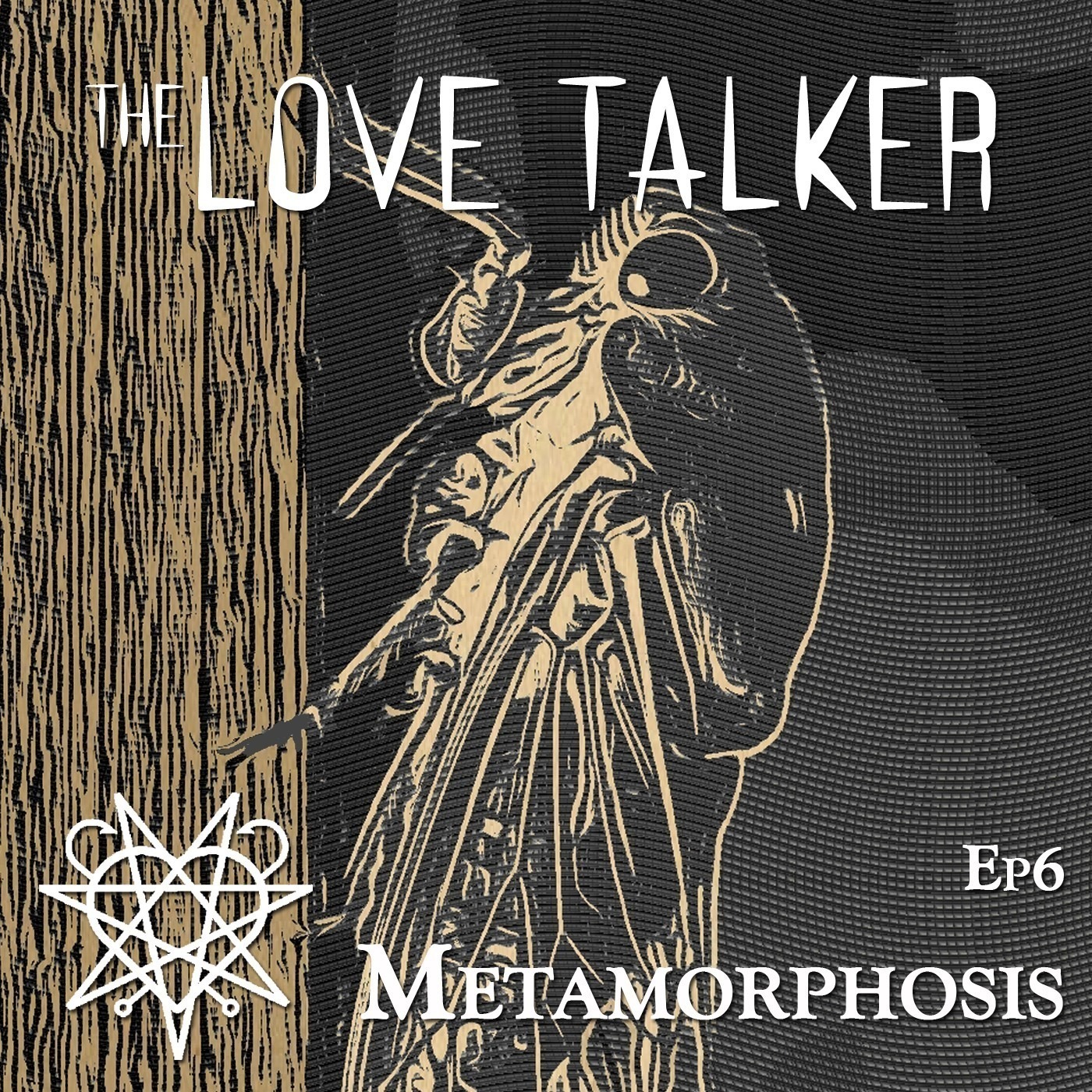 Episode 6 - Metamorphosis artwork