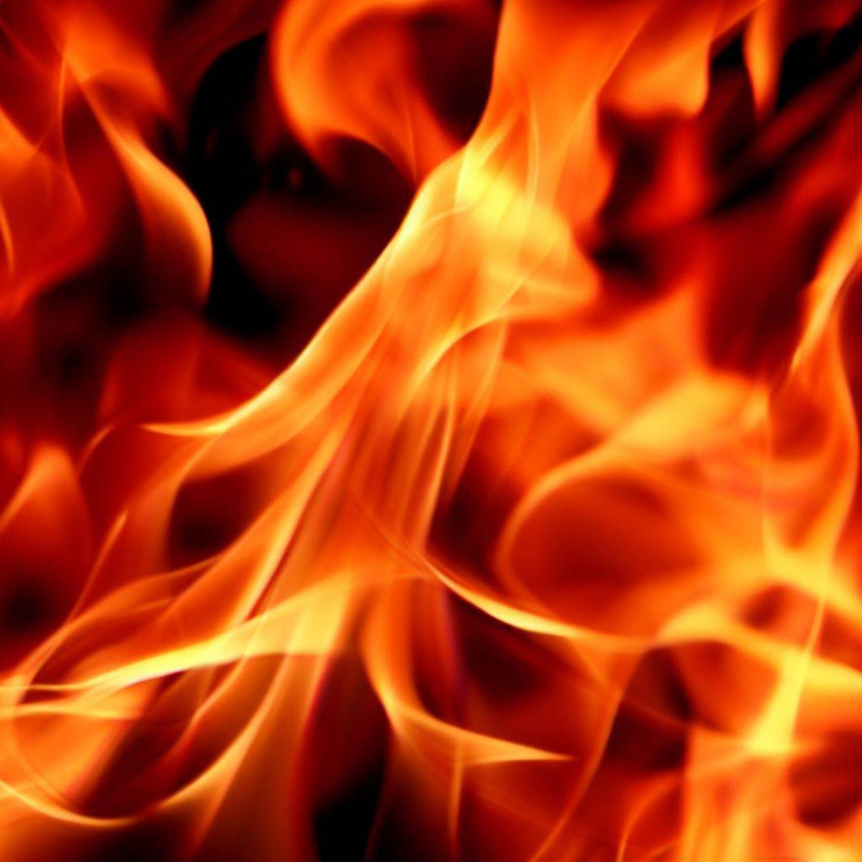 Embrace Everything - The World of Gustav Mahler - 第一乐章——对造物主的激烈控诉 封面