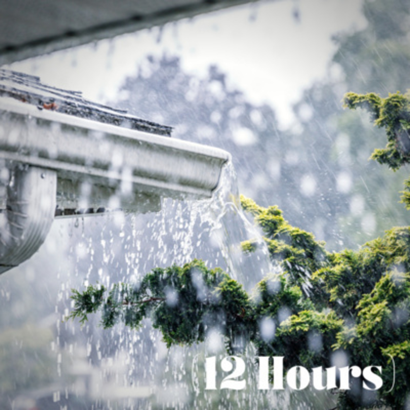 Relaxing Rain Dribbling Outside Your Home | Sleep Sound (12 Hours)