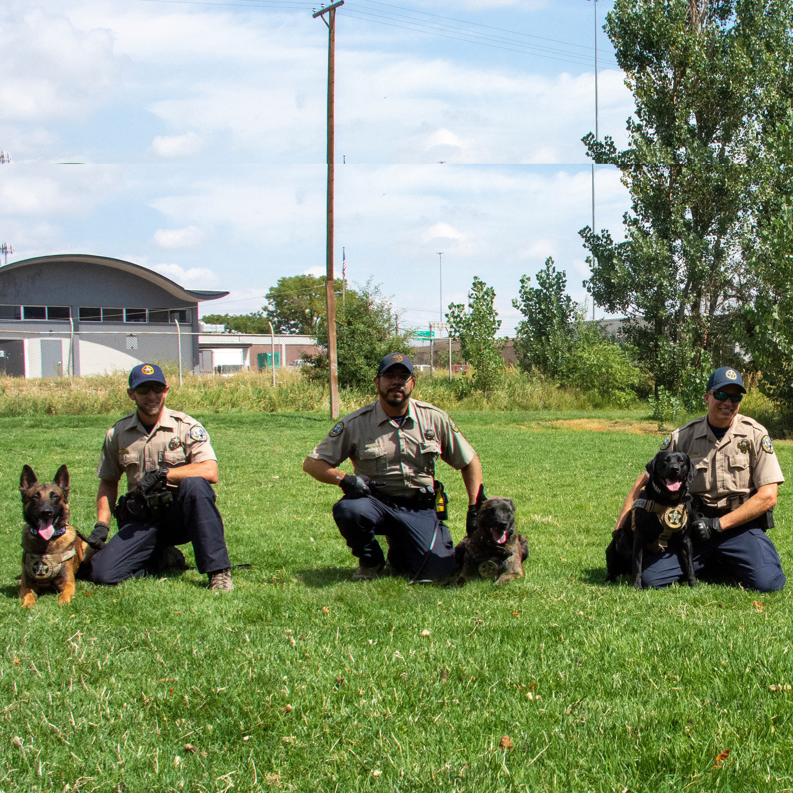 S1E13: 1.13 - CPW's K9 Program - April 26, 2021 episode artwork
