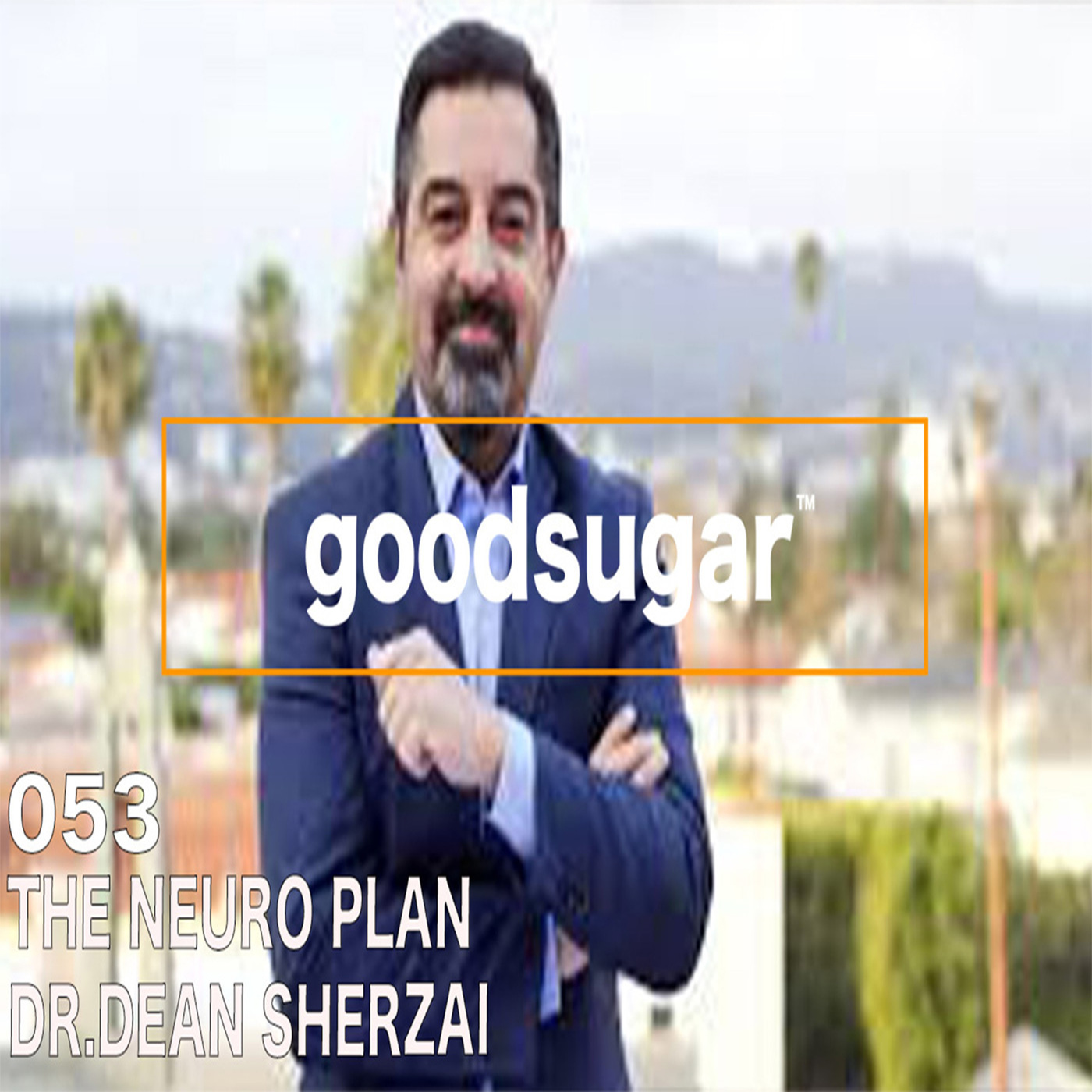 The Neuro Plan w/ Dr. Dean Sherzai - goodsugar #053 episode artwork