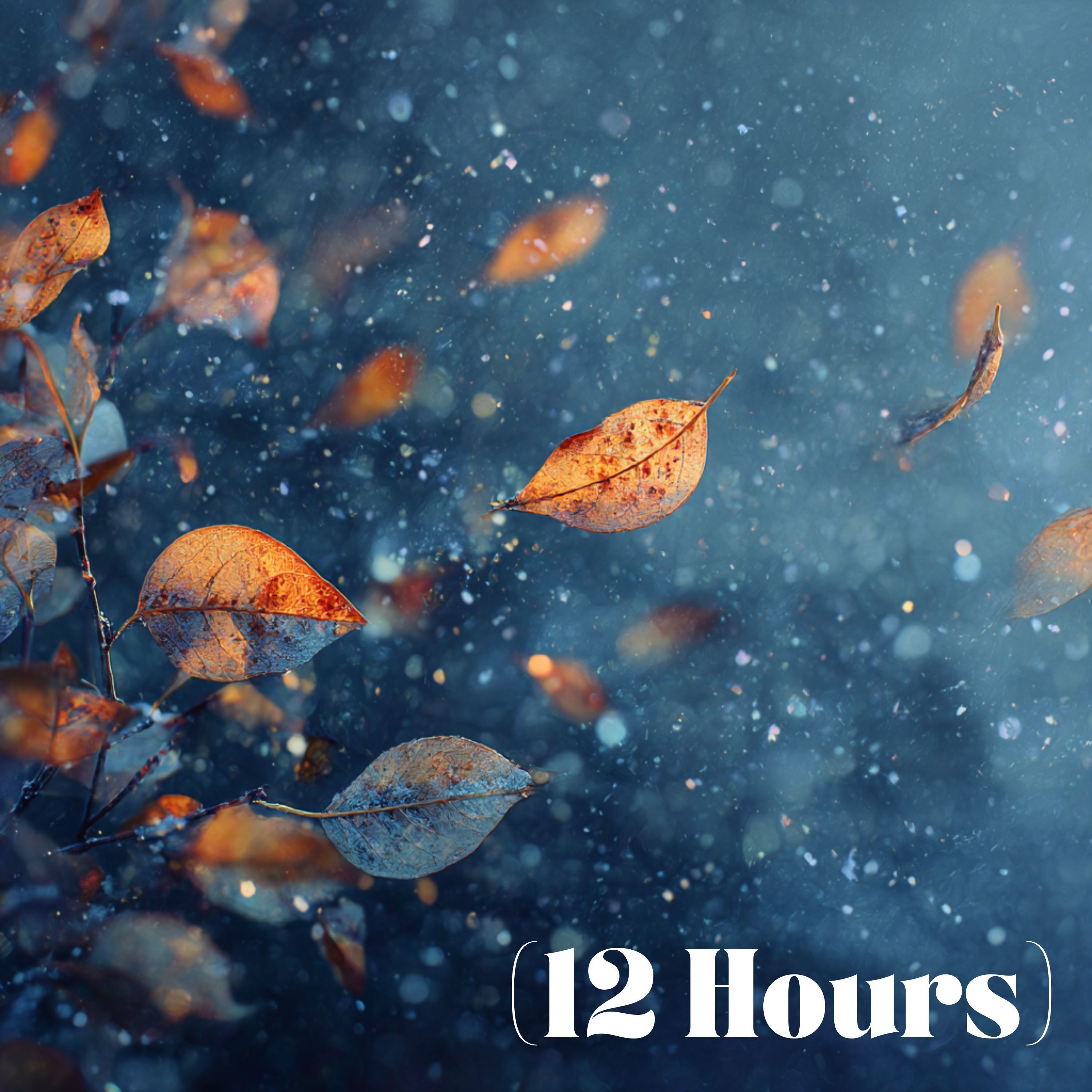 Leaves Rustling in a Windy Snowstorm | Sleep Sound (12 Hours)