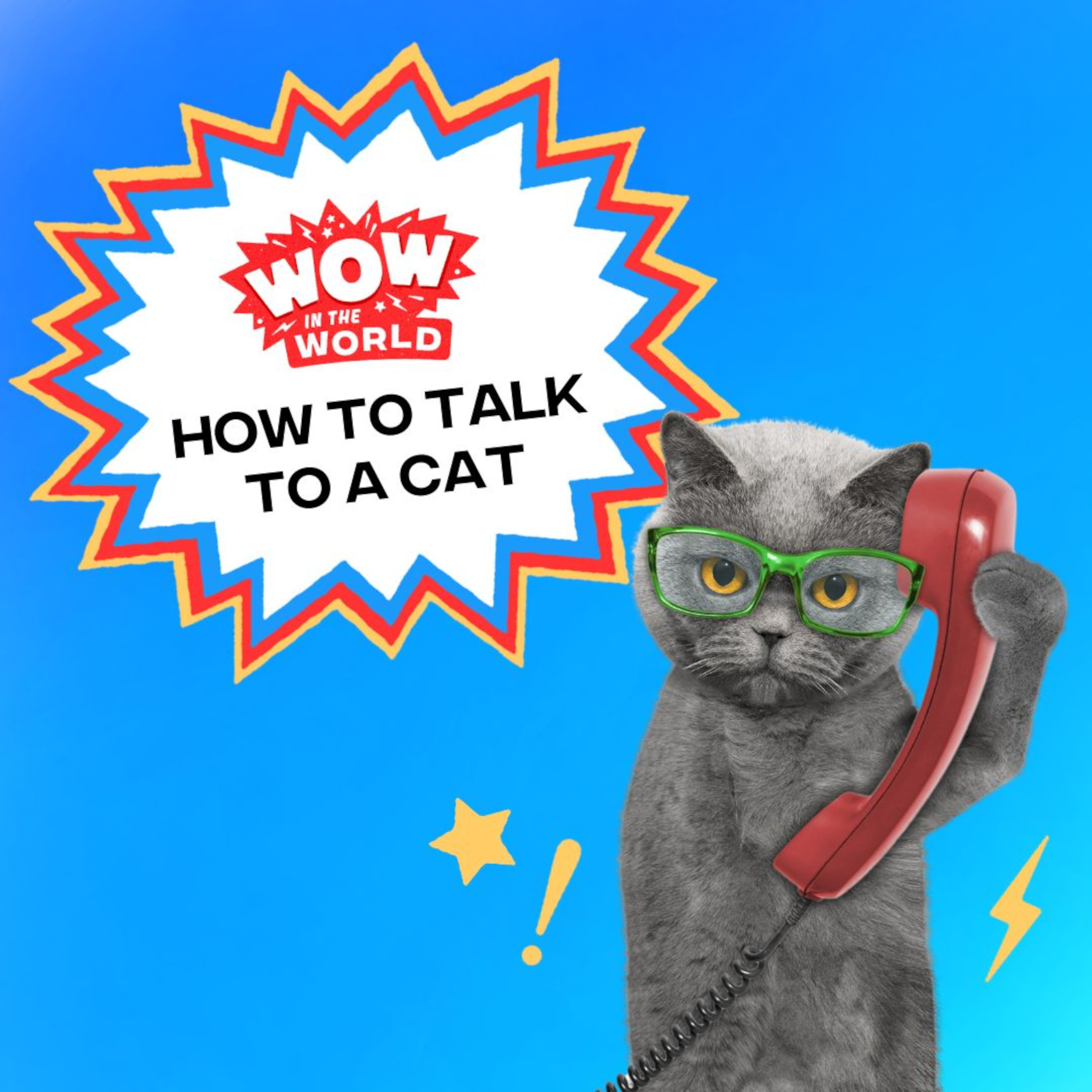 How To Talk To A Cat (8/4/25)