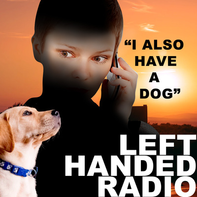 does leaving radio help dogs