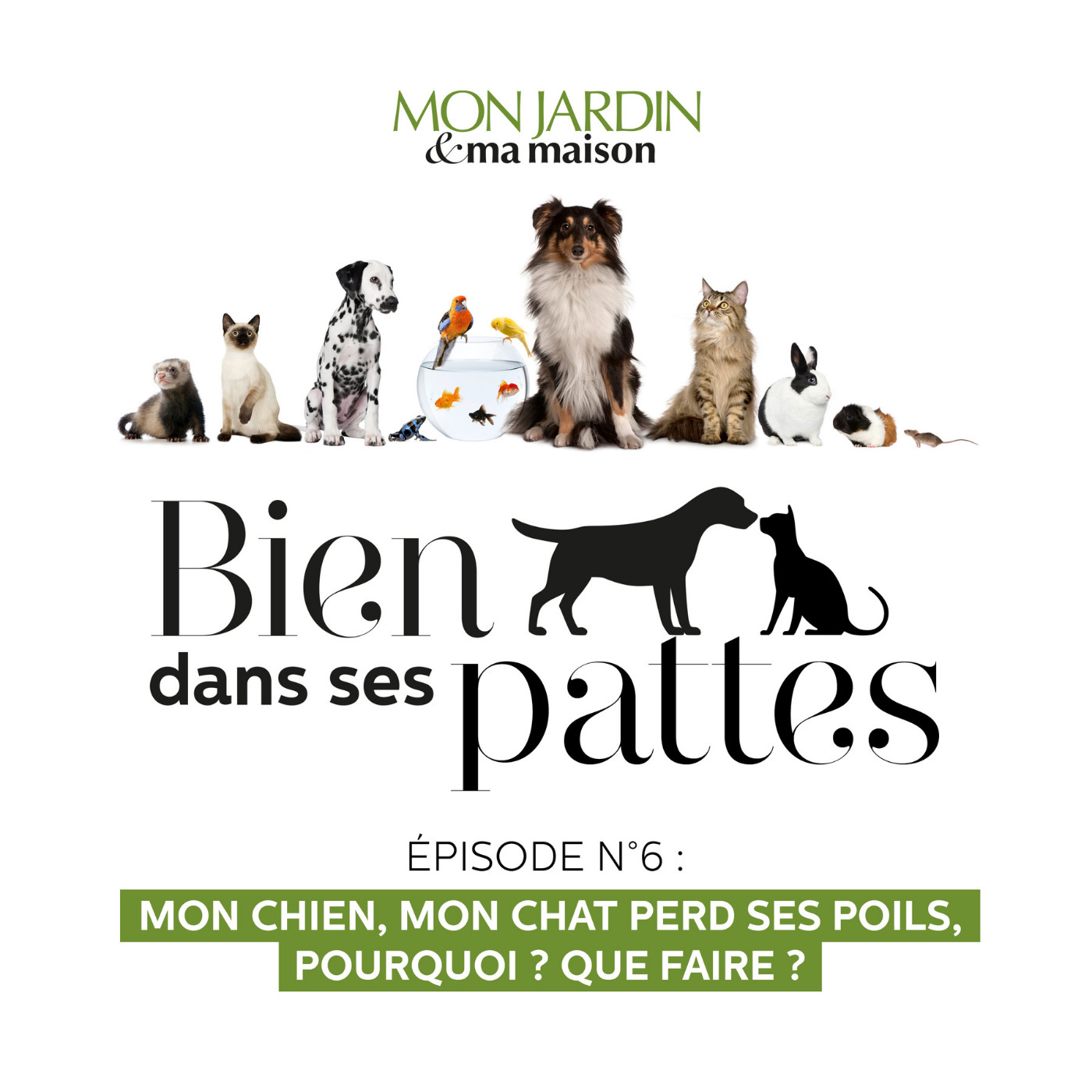 Bien dans ses pattes