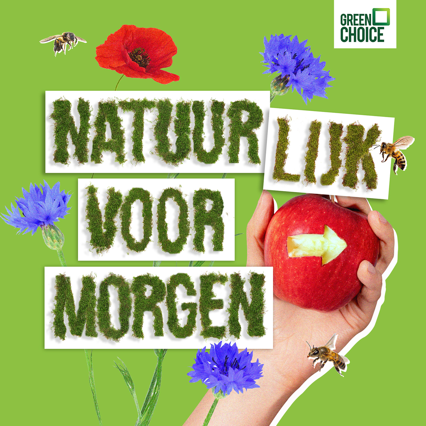 Van eigen bodem: het veenmos