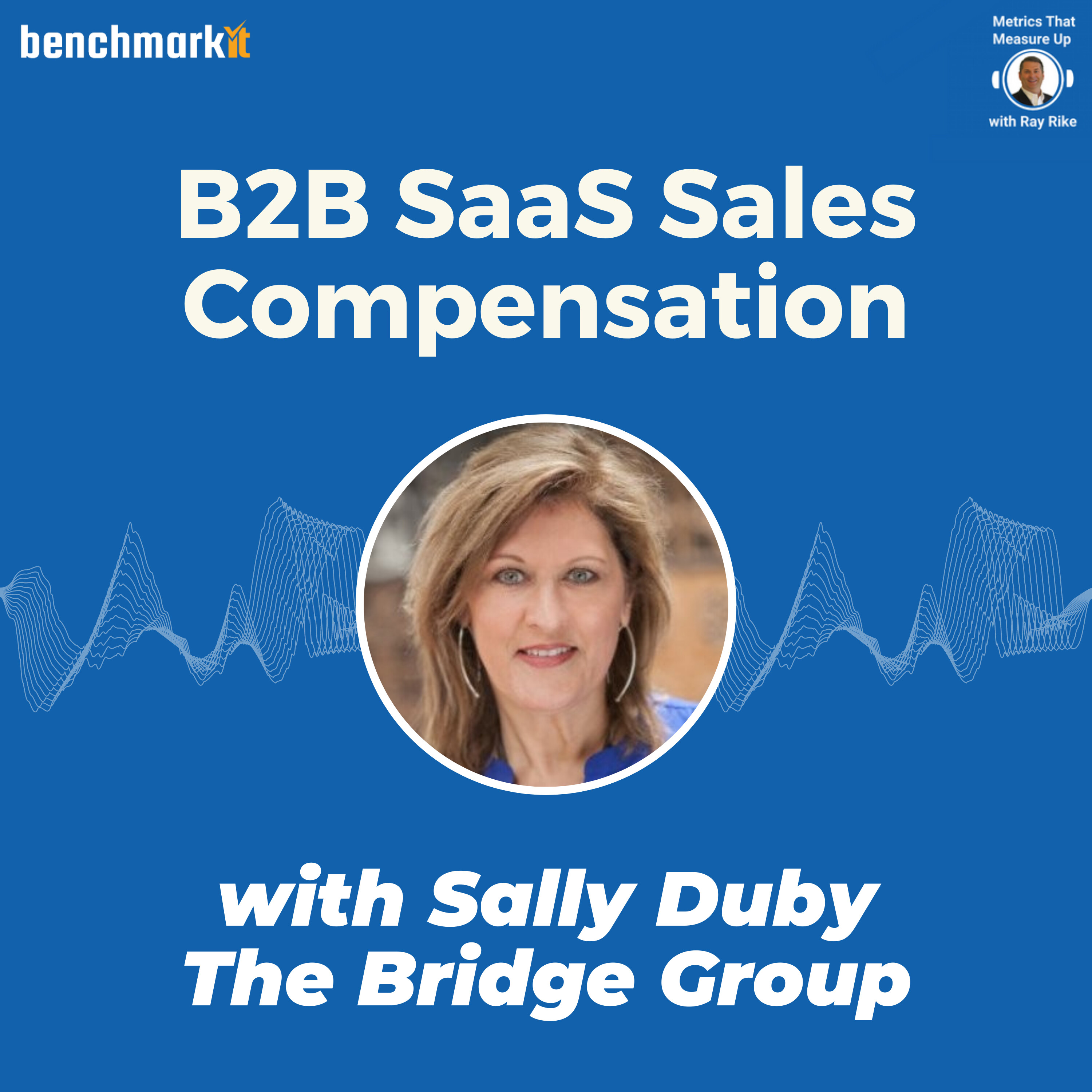 B2B SaaS Sales Compensation in 2020 - with Sally Duby - The Bridge Group