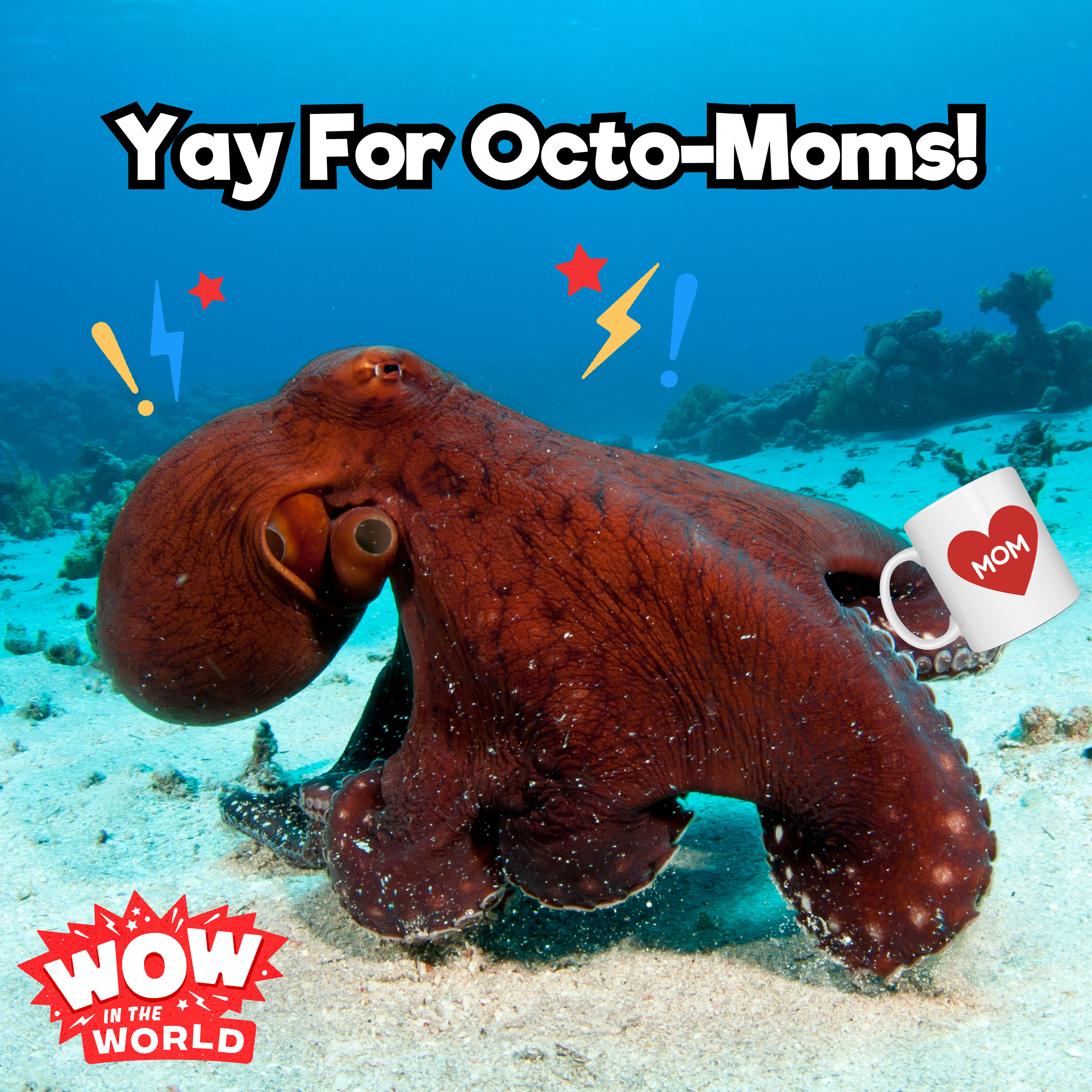 Yay For Octo-Moms! (1/29/24)