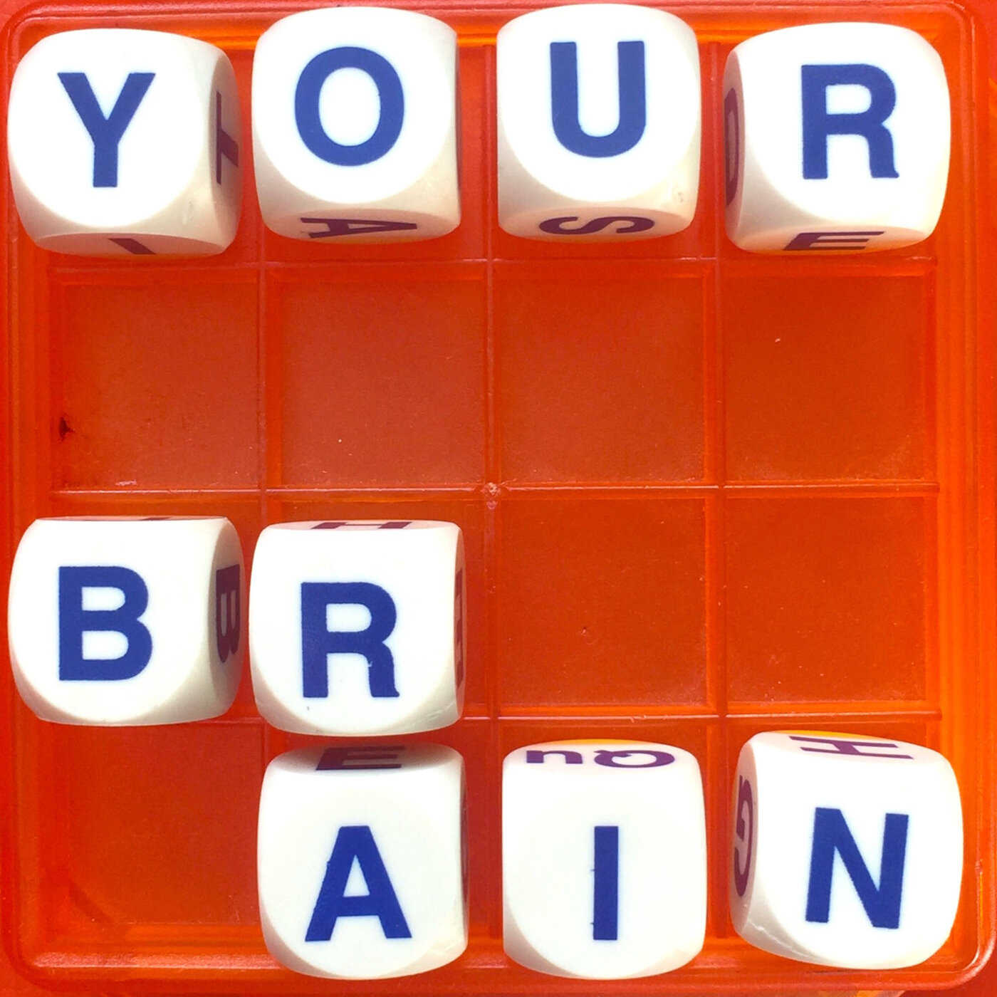 44: This Is Your Brain On Language