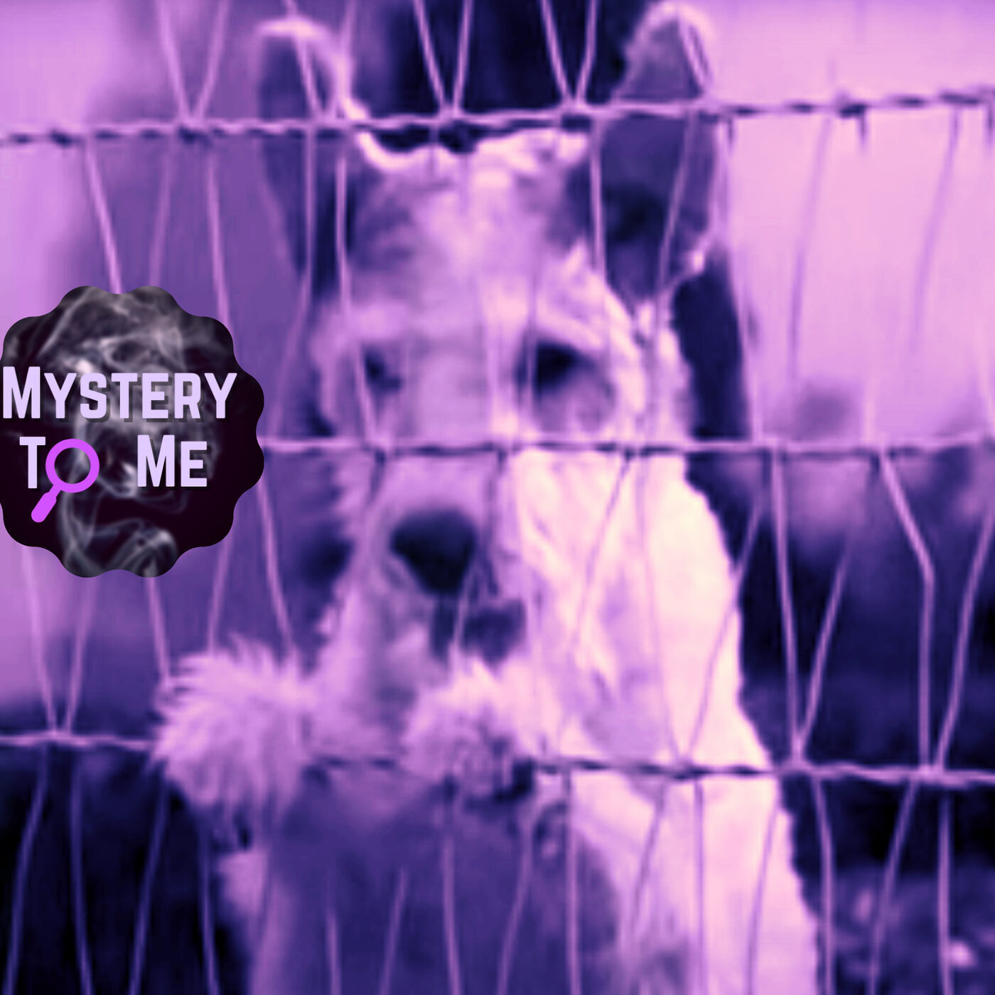 Mystery to Me