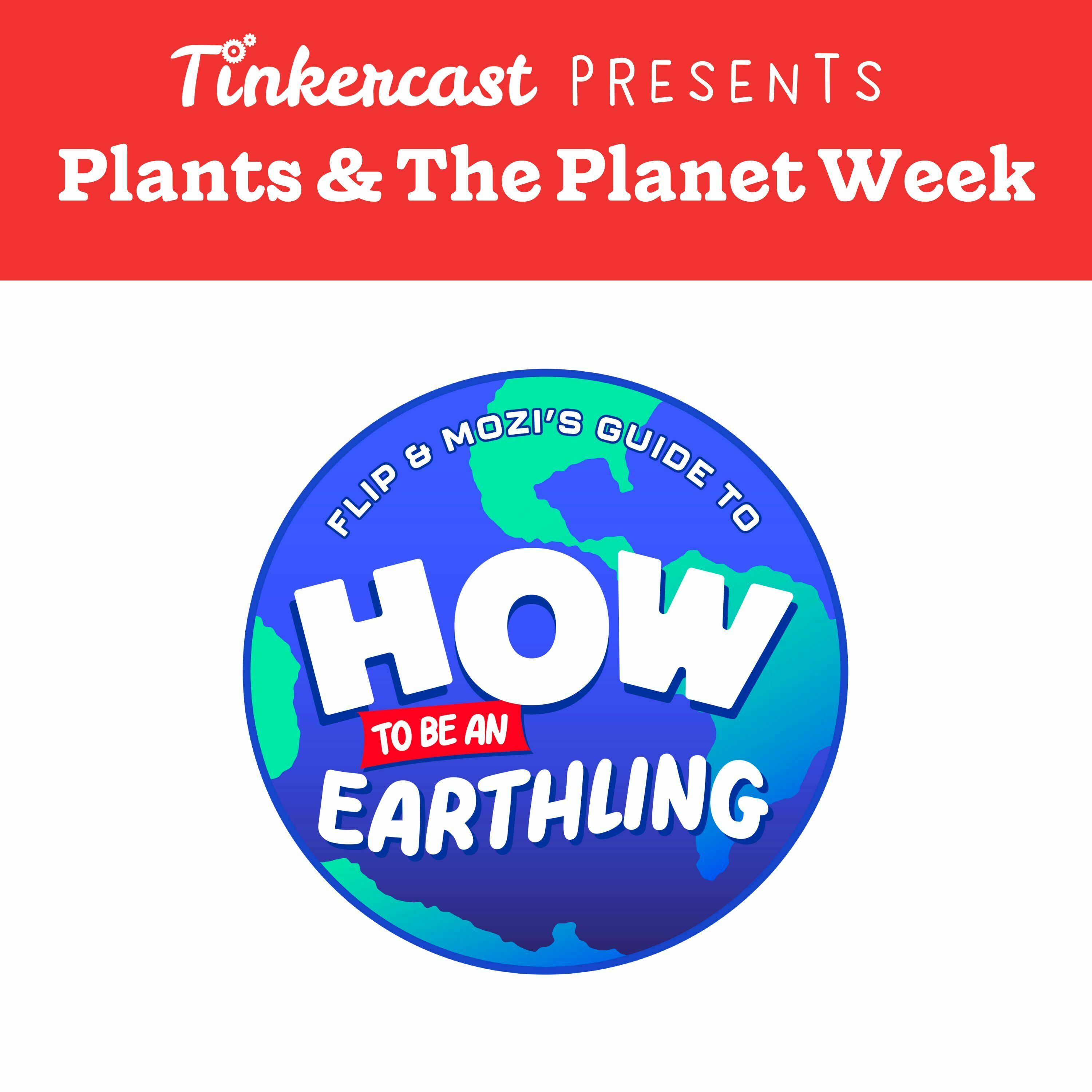 How To Be An Earthling – Travelpod: Plants! Earth's Silent Heroes