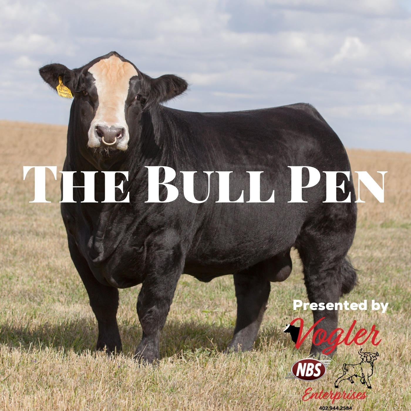 The Bull Pen