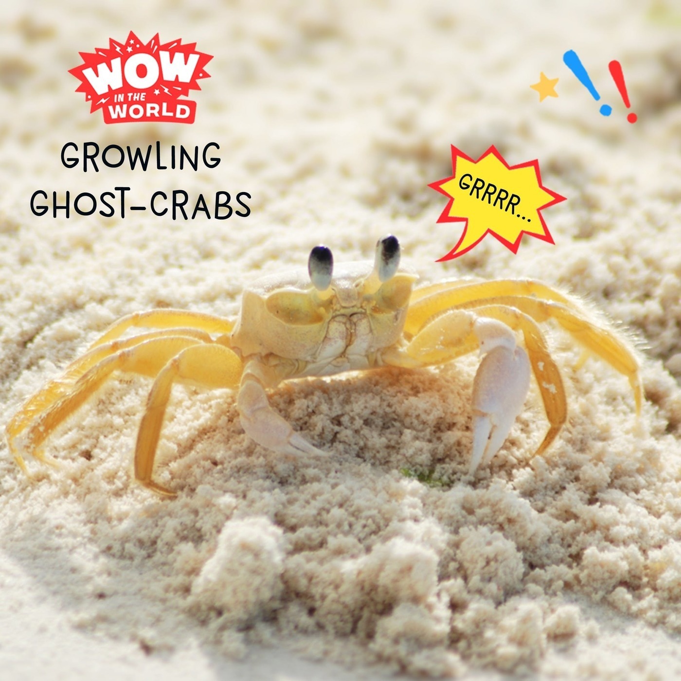 Growling Ghost-Crabs (encore)