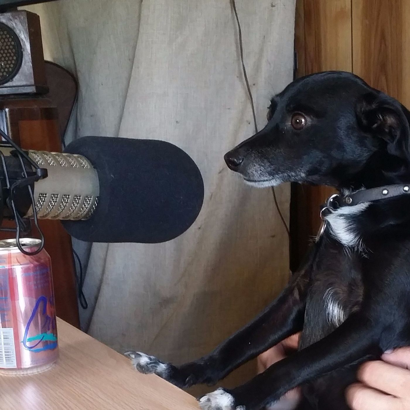 The Hooray Show
