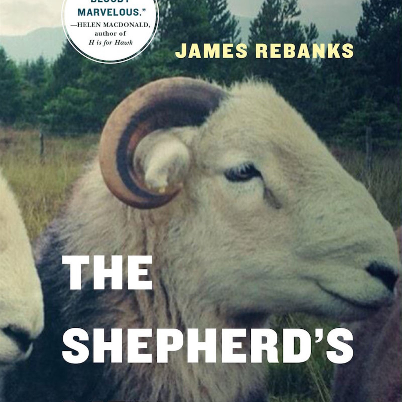 Episode 51: The Shepherd's Life: Fatherly Love, Land, and Loss with James Rebanks