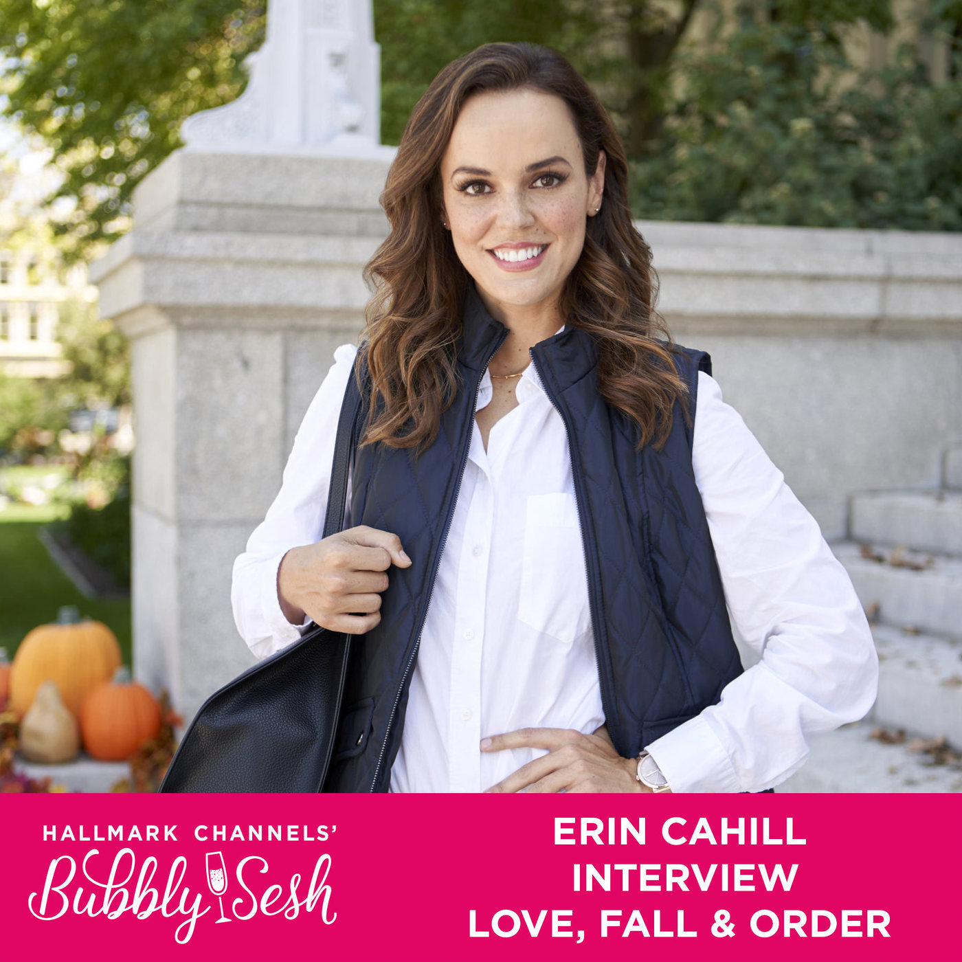 Erin Cahill Interview - Love, Fall & Order  