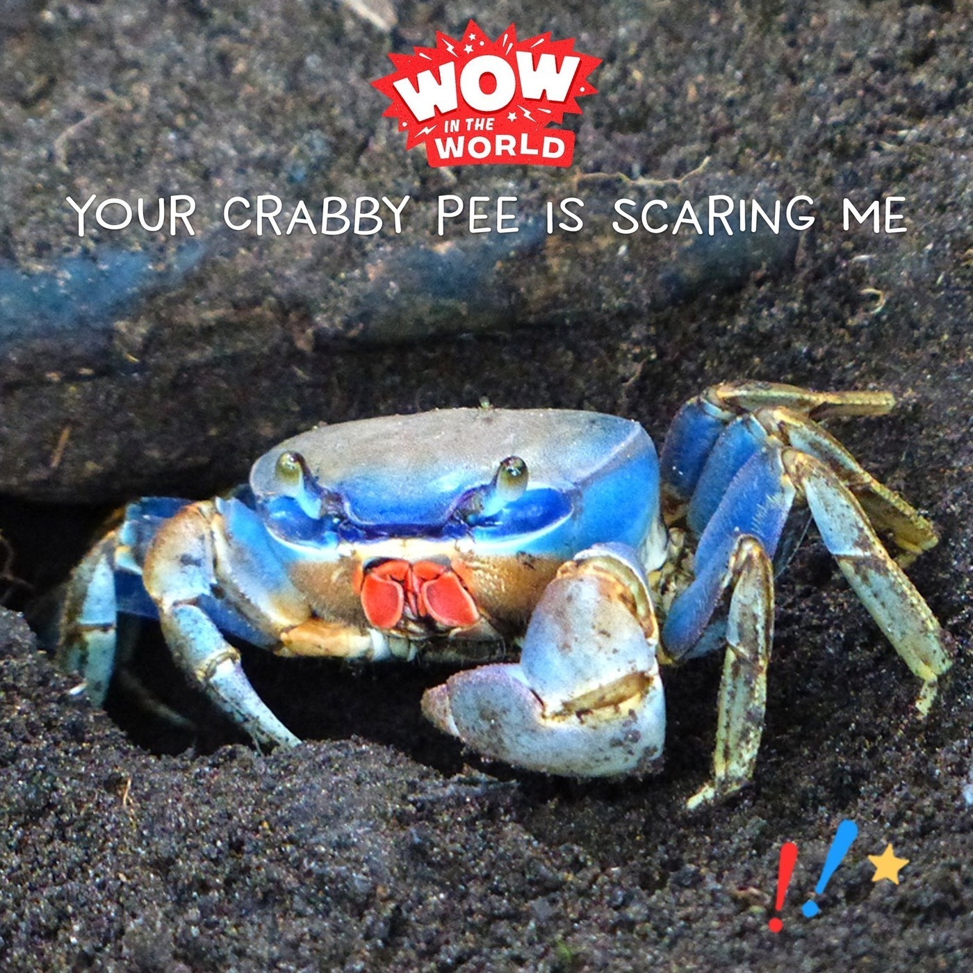 Your Crabby Pee Is Scaring Me! (Encore - 7/22/19)