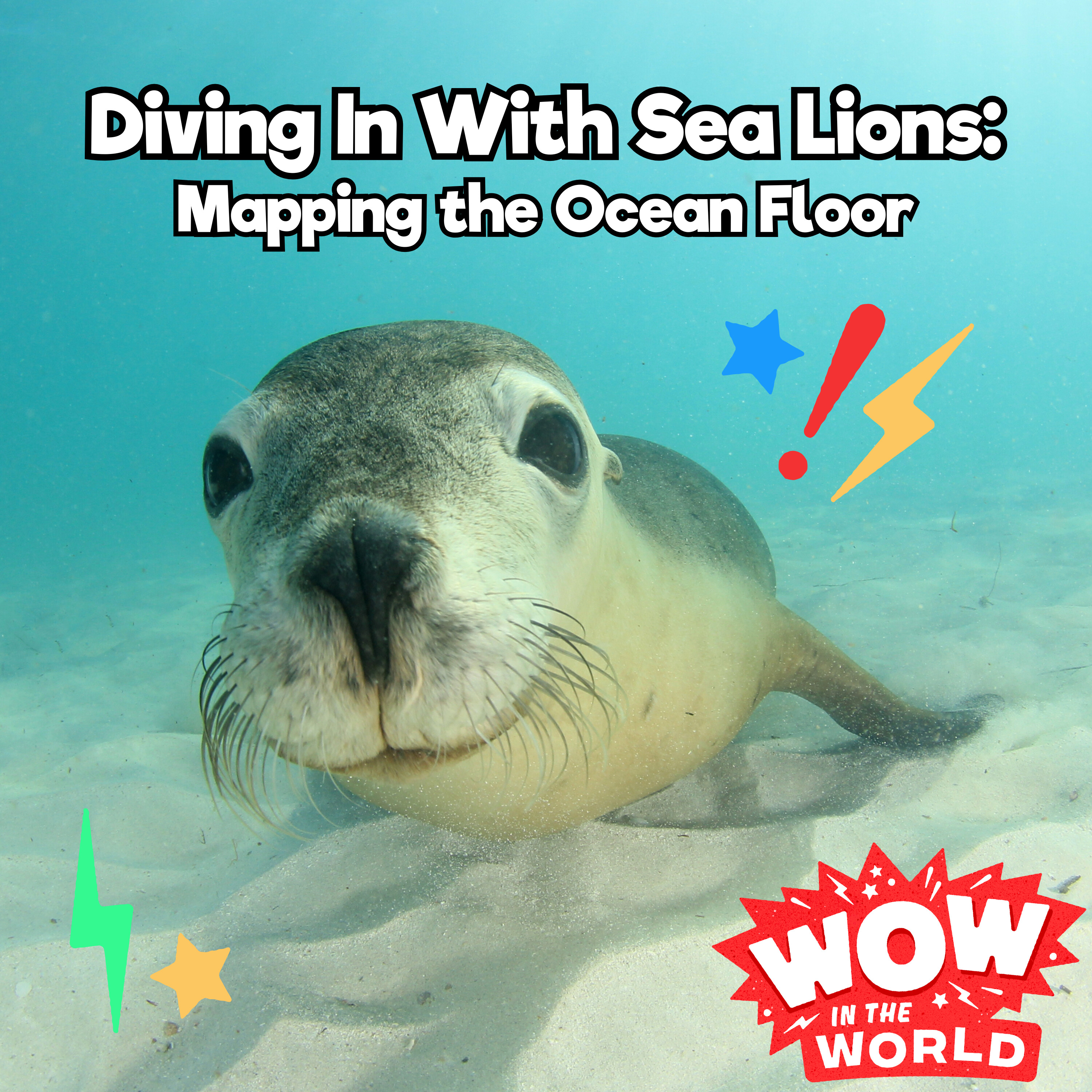 Diving In With Sea Lions: Mapping the Ocean Floor (2/10/25)