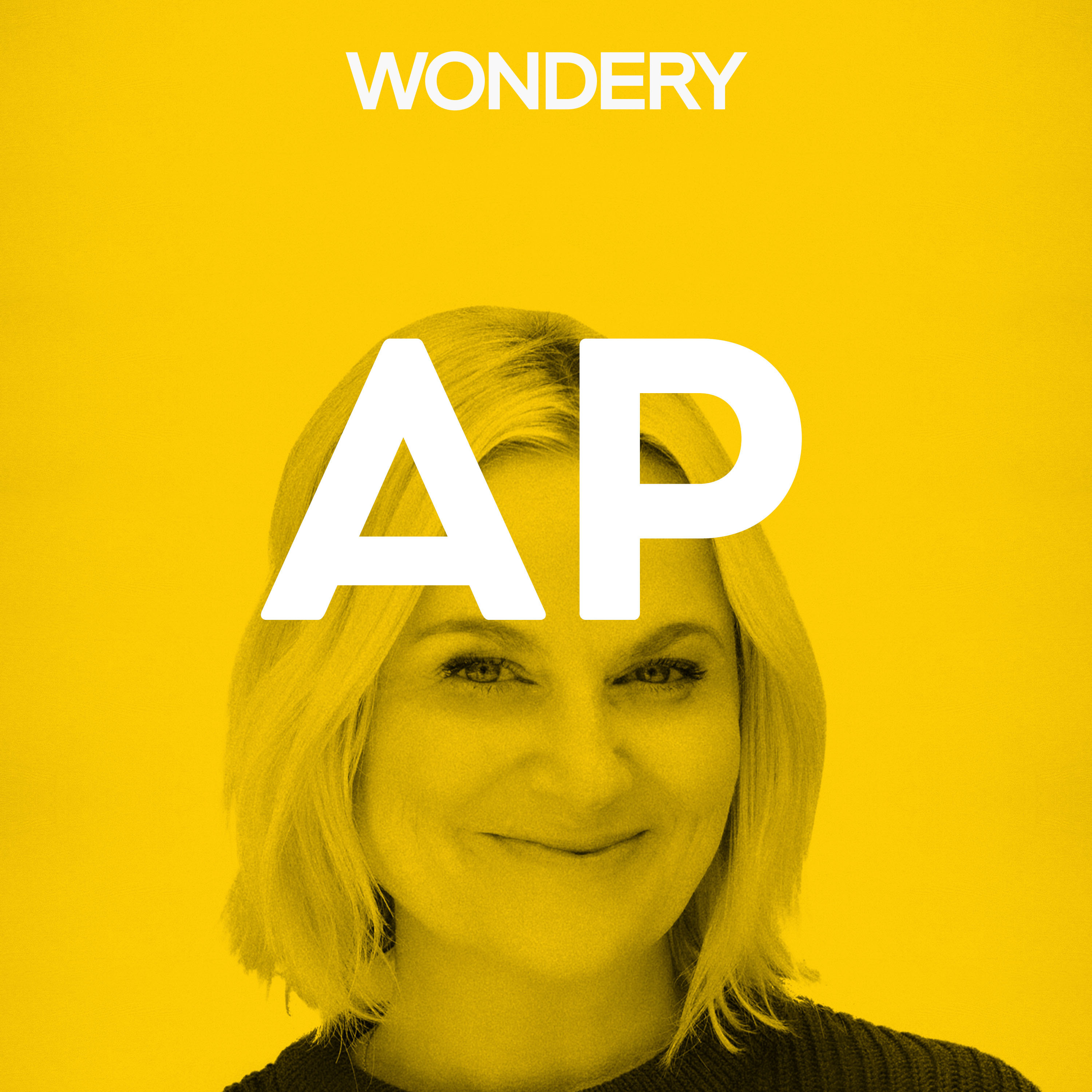 Amy Poehler Returns