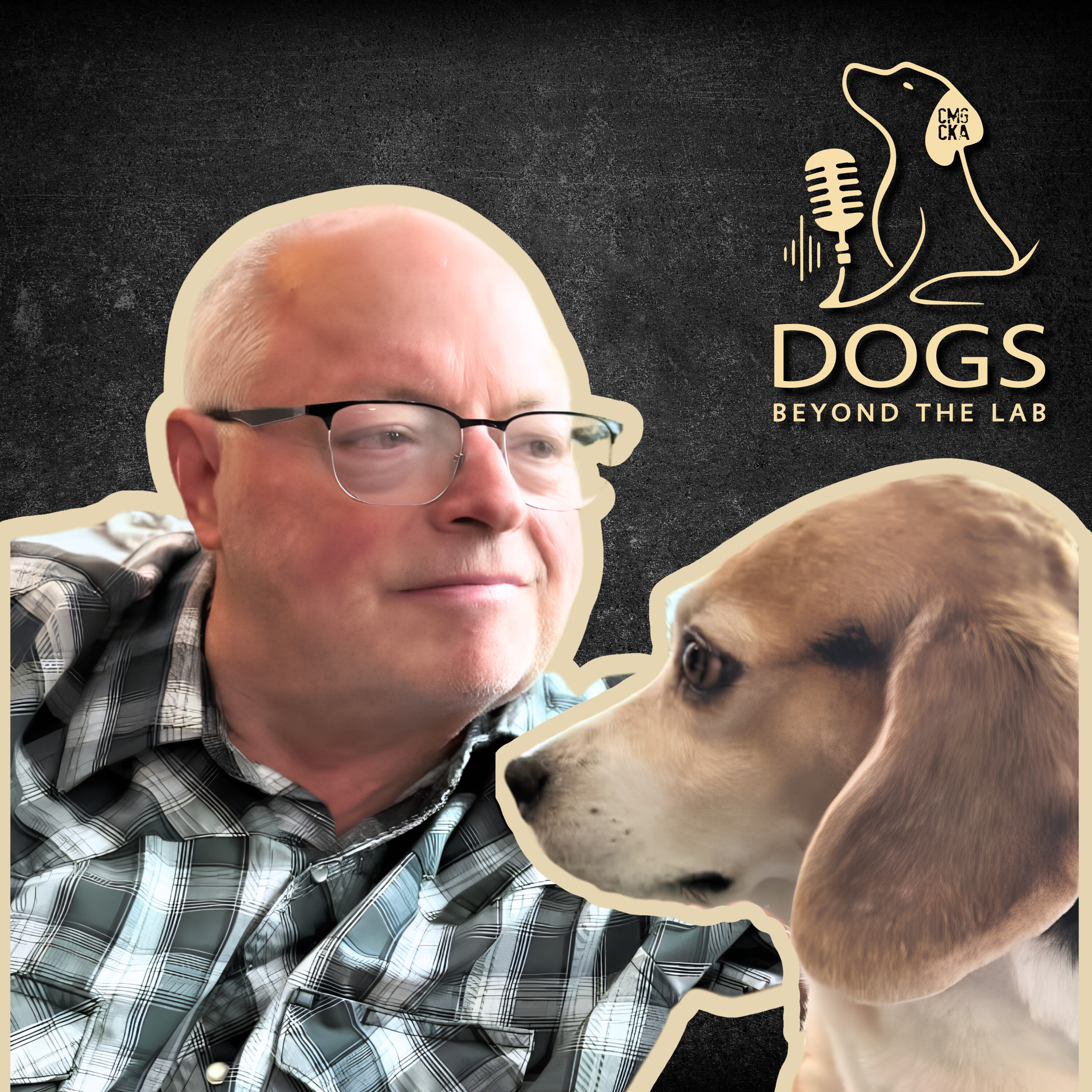 Badger, Gabe, and Kai: How Three Beagles Rewrote One Family’s Life