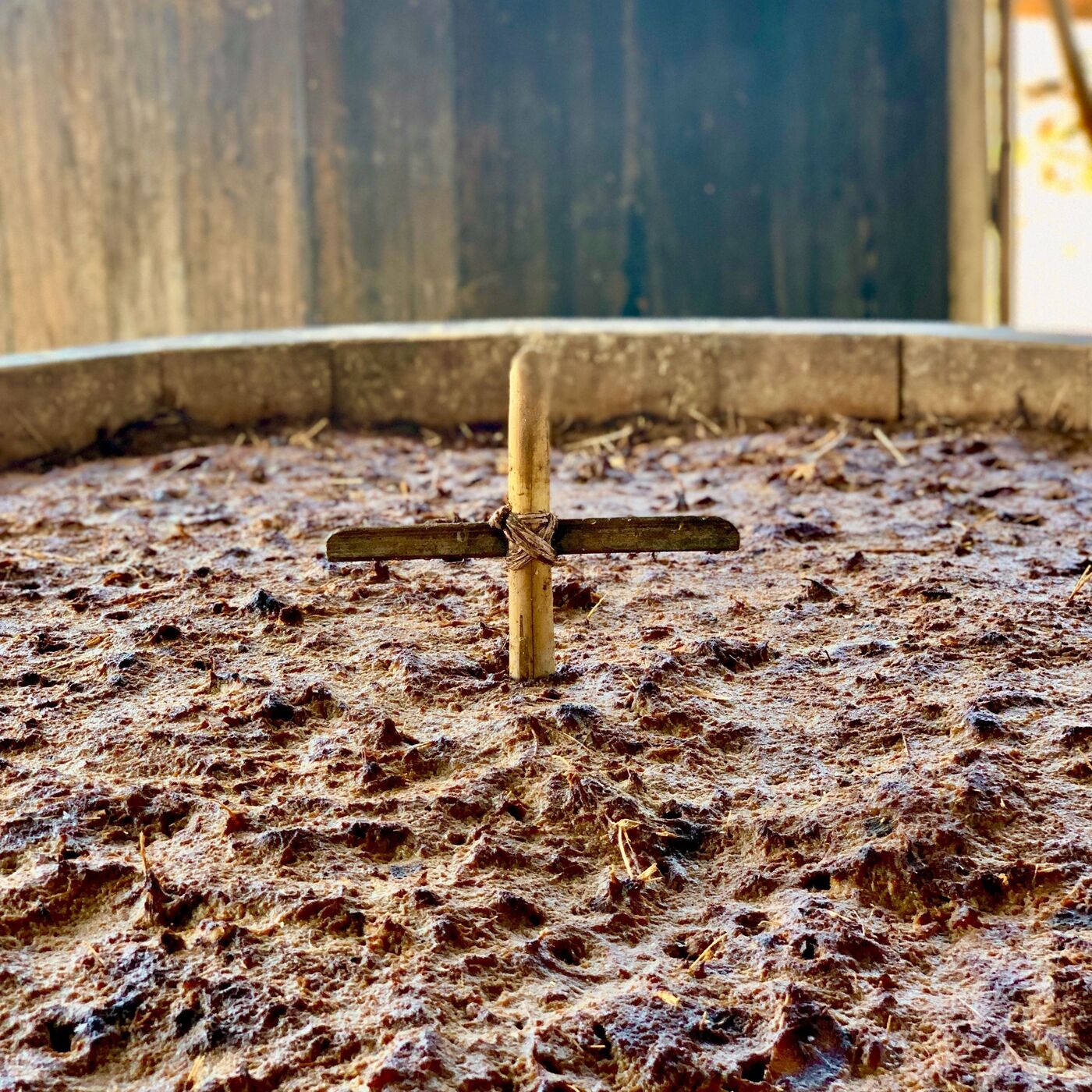 Fantastic Fermentation - S1E5