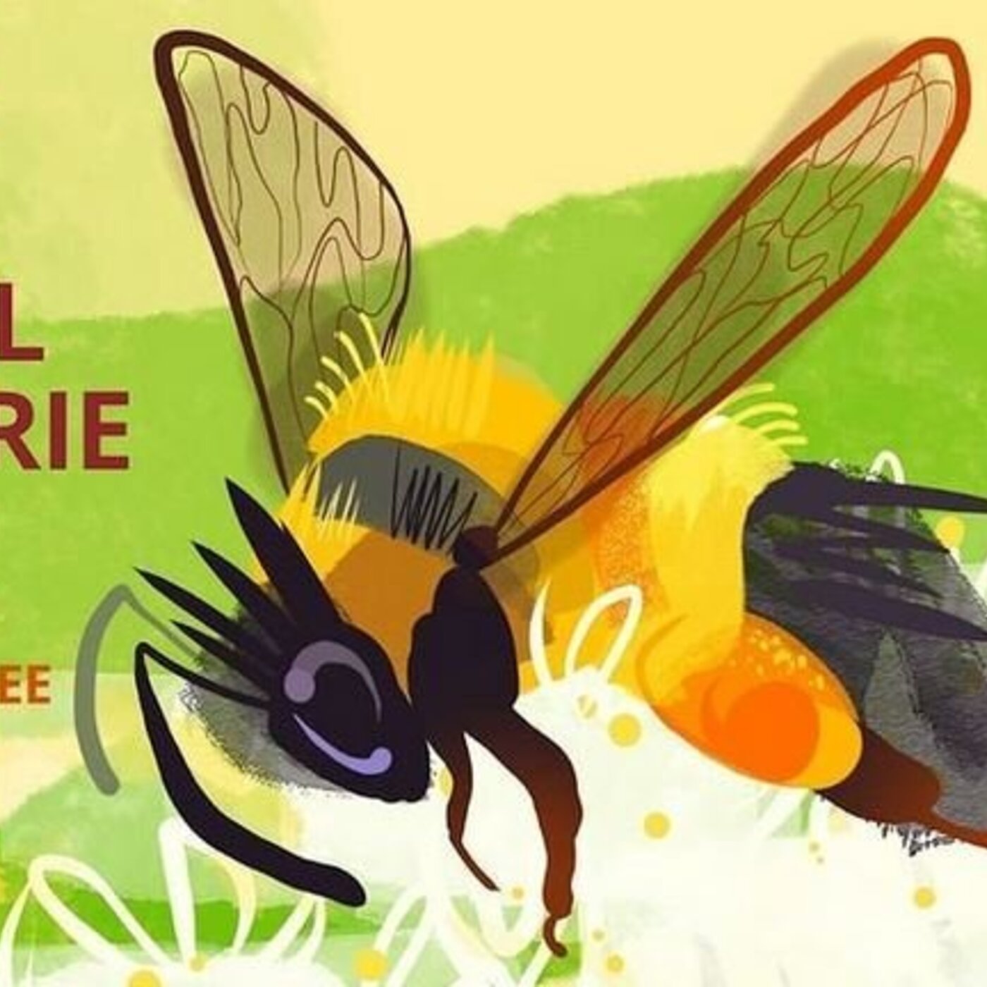 In Defense of Plants Podcast