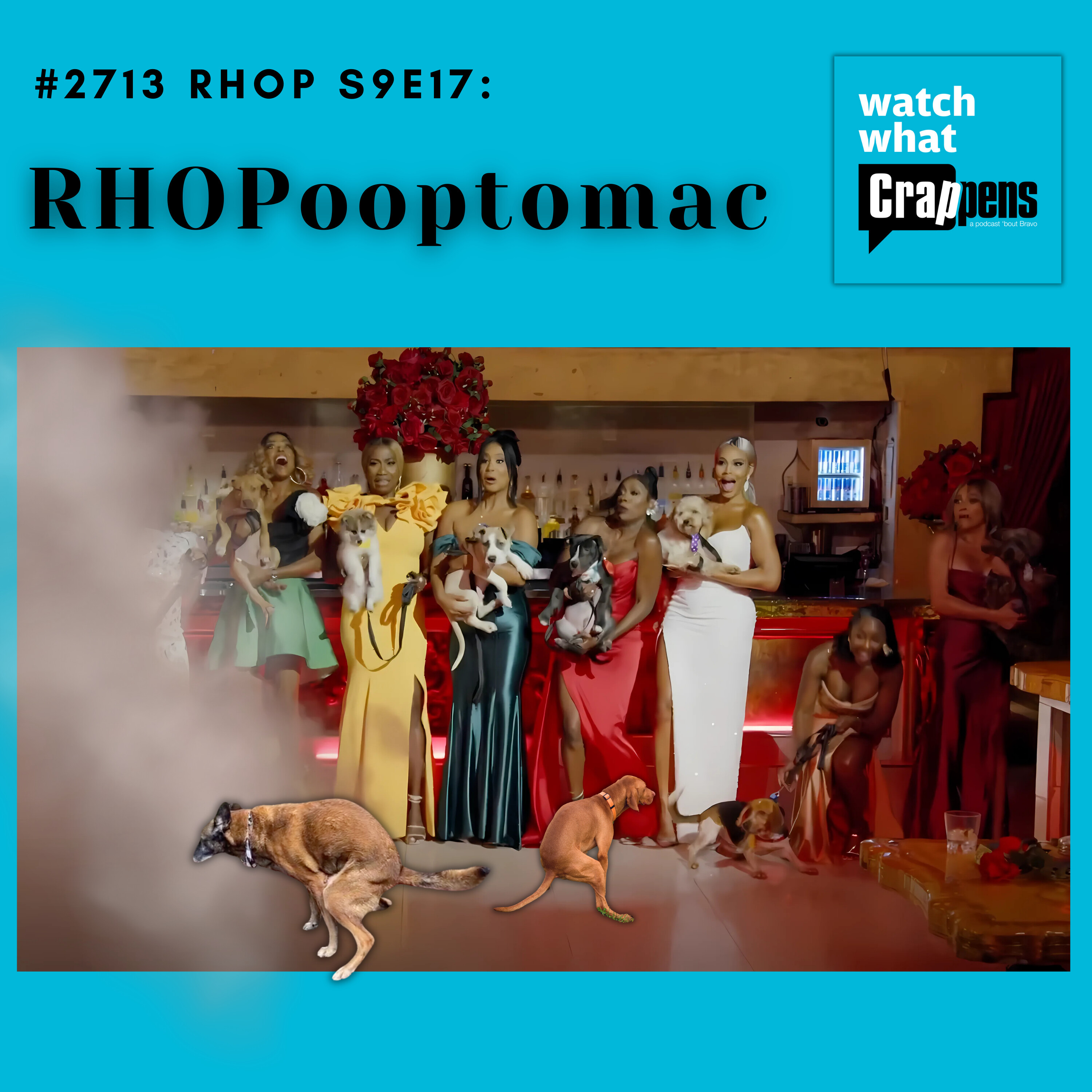 #2713 RHOP S9E17: RHOPooptomac