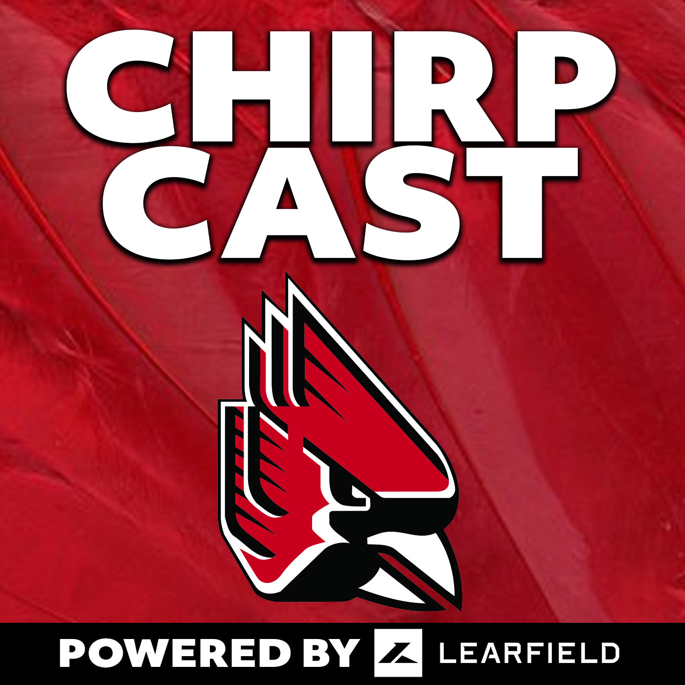 Støt Springboard Etableret teori ChirpCast Podcast