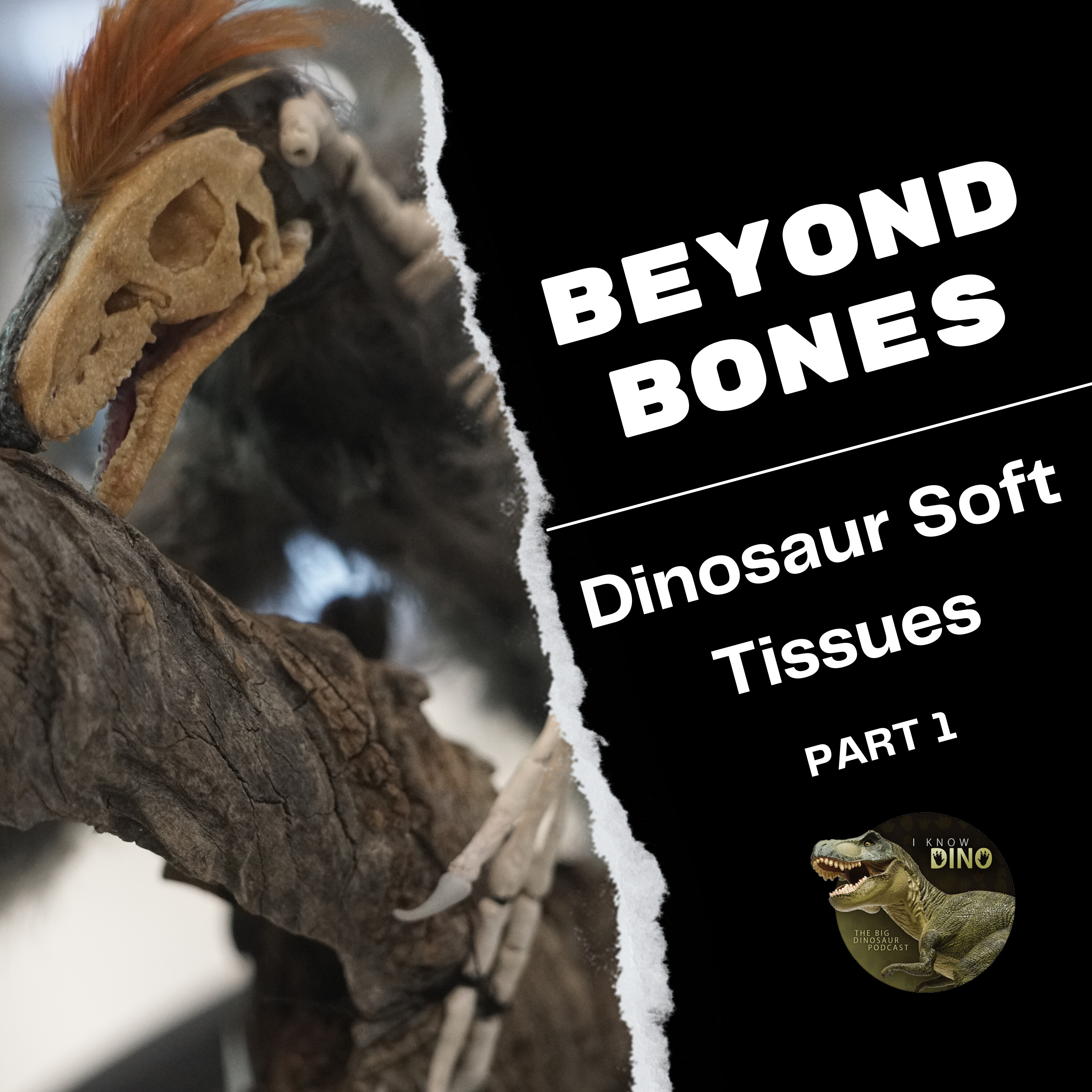 Beyond Bones: Dinosaur Soft Tissues