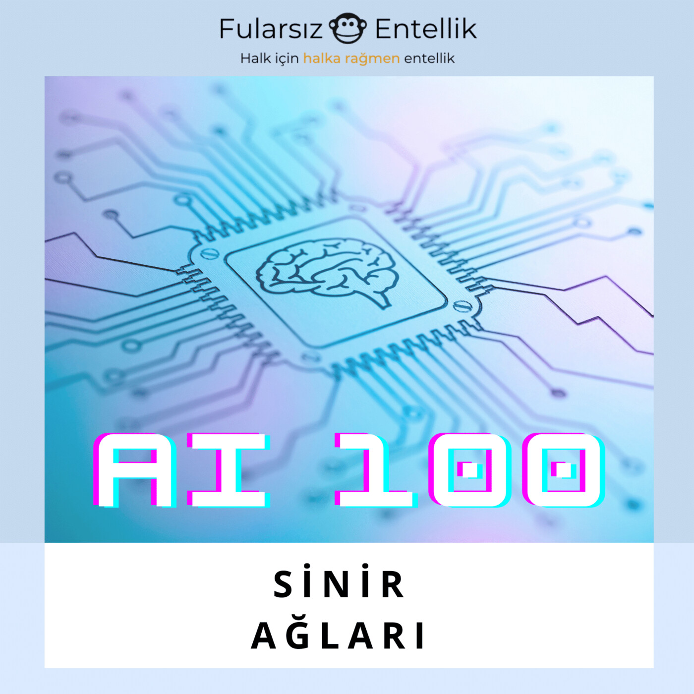 AI 100: Sinir Ağları (Neural Nets)