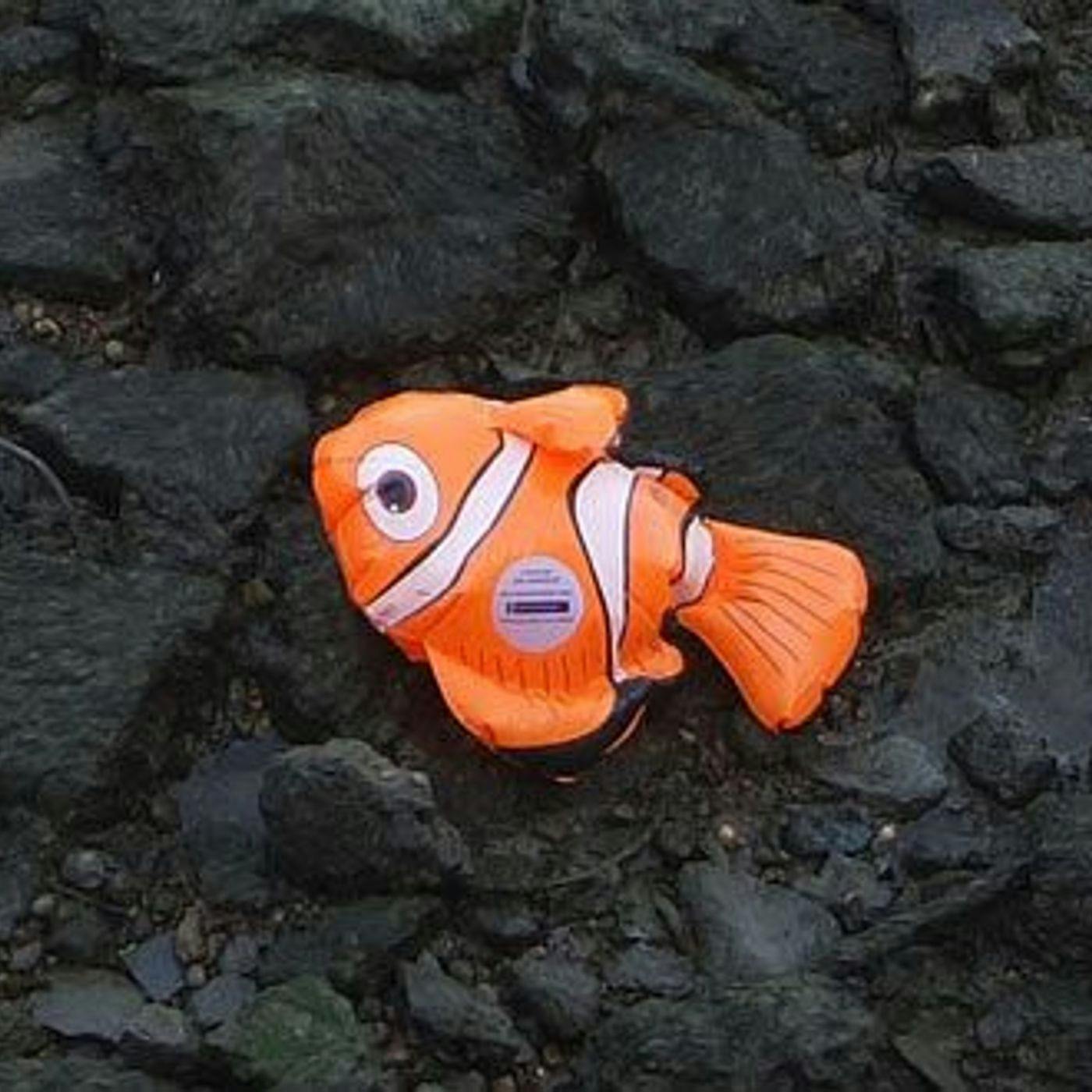 Emma Kelly's Fish Died (2011) episode artwork