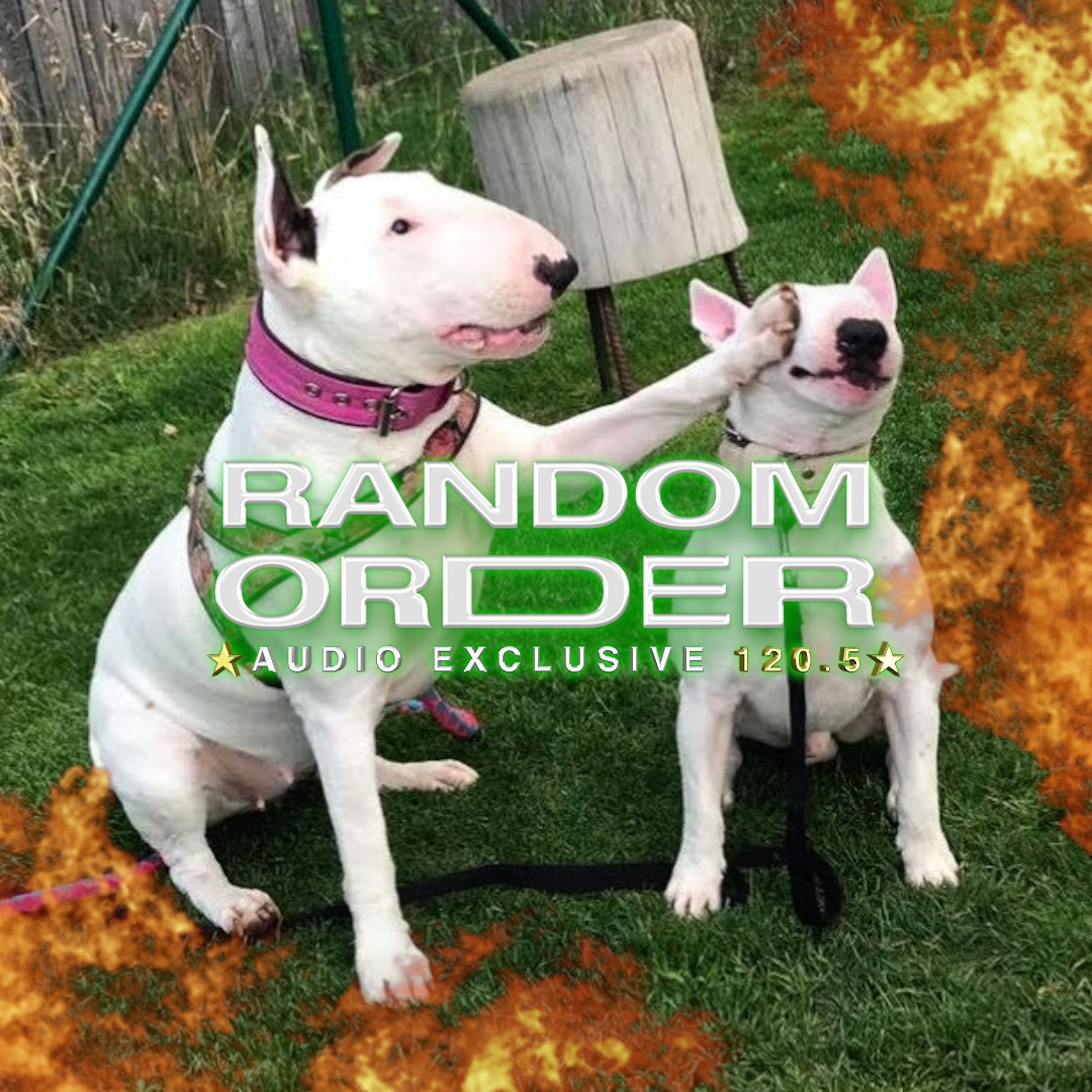 cover of episode I'm Not Feeling My New Dog