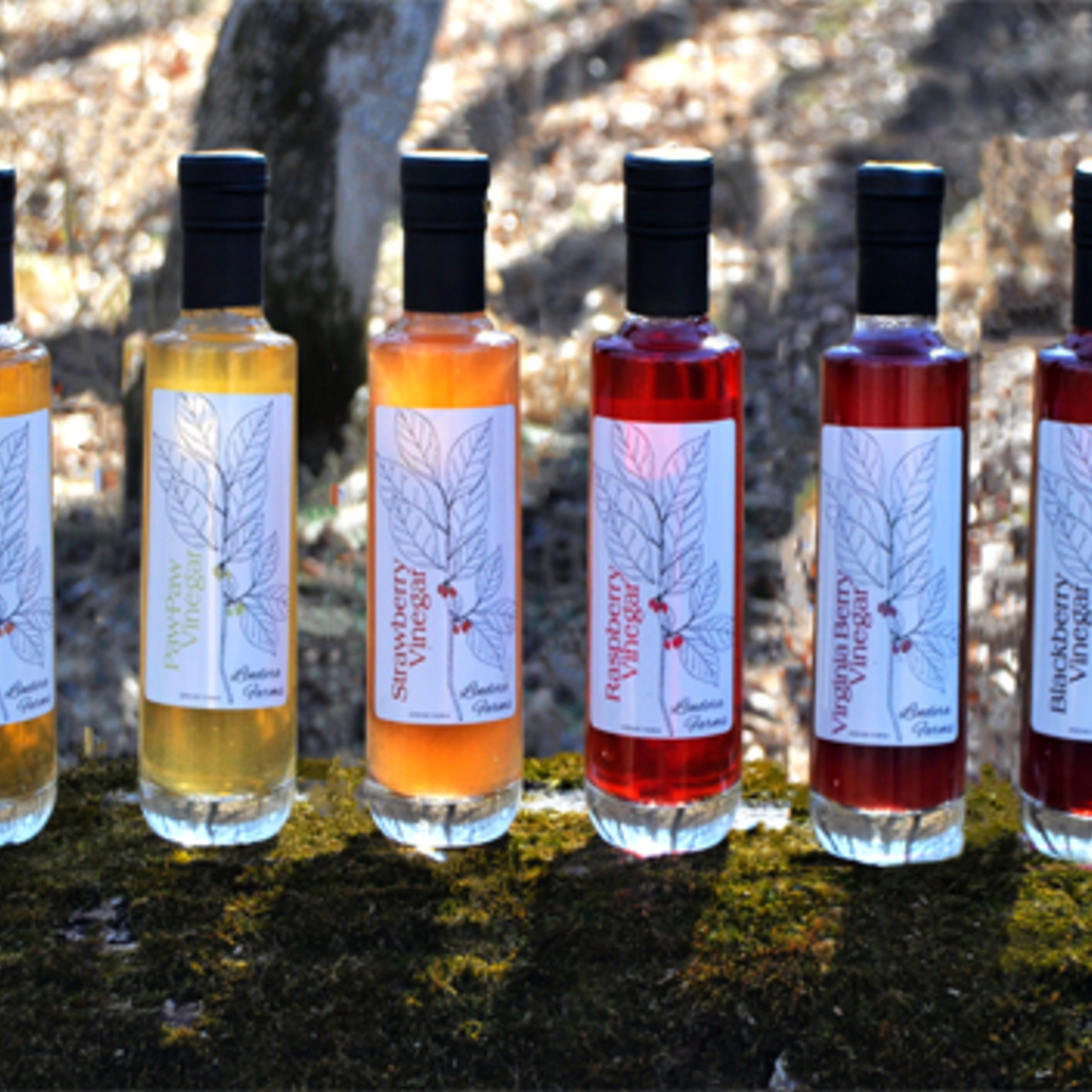 Episode 312: Lindera Farms vinegars with Daniel Liberson