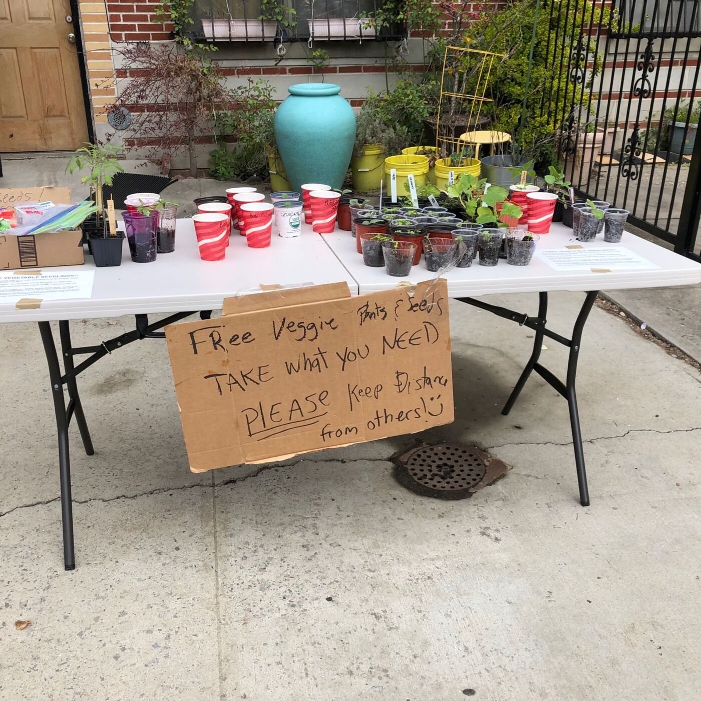 Grow your own, and help your neighbors